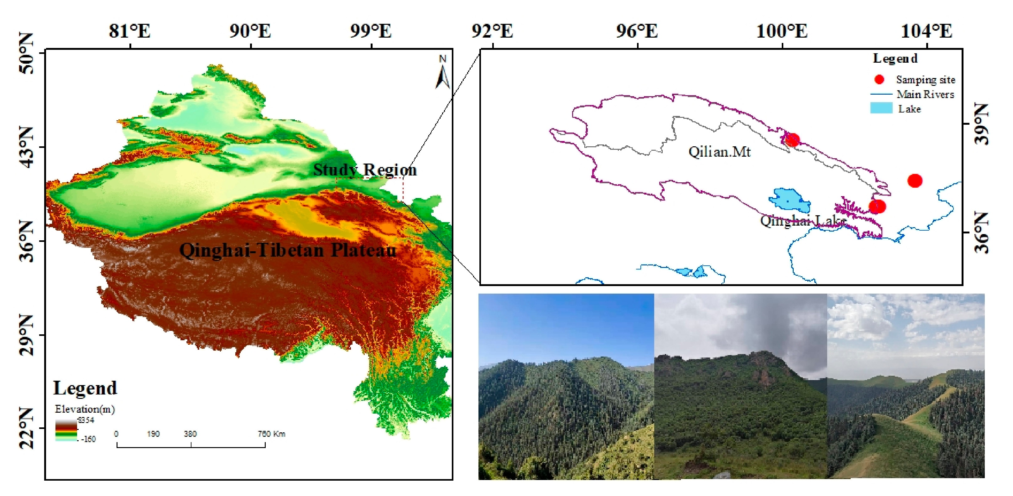 Forests 12 01015 g001 550