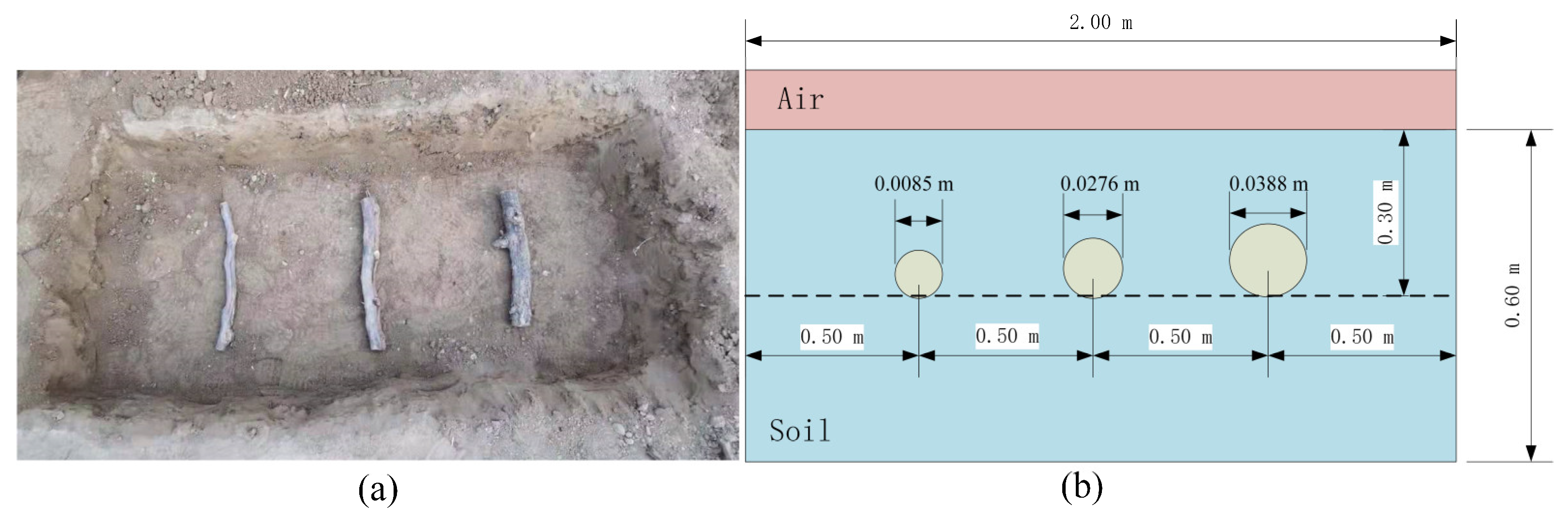 Forests 12 01019 g013 550