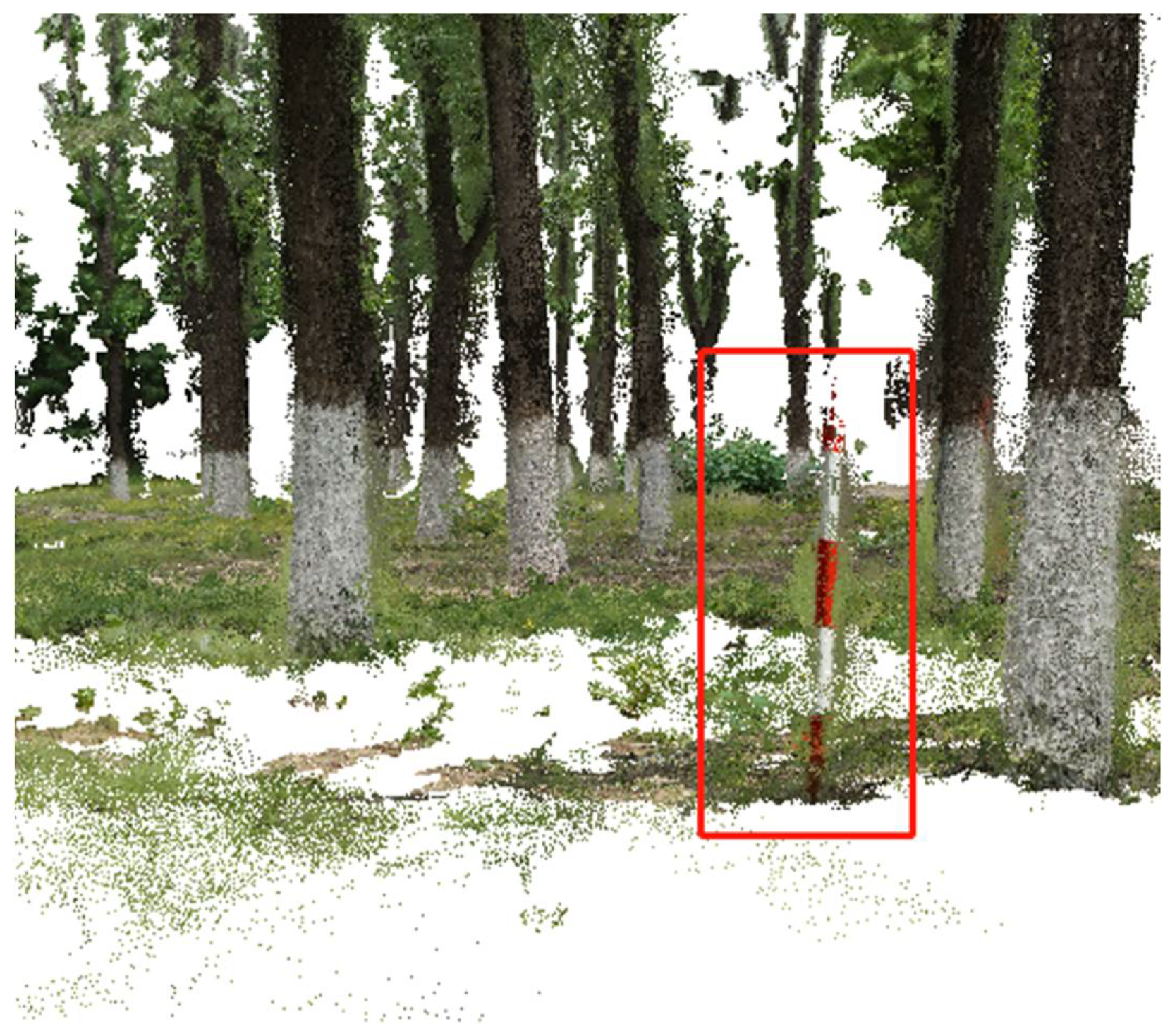 Forests 12 01020 g002