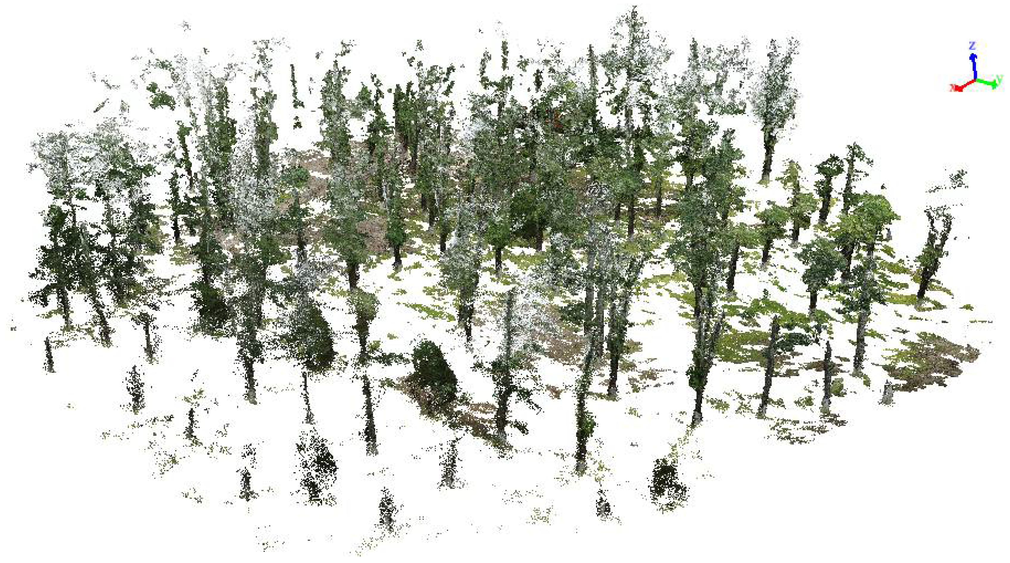 Forests 12 01020 g004