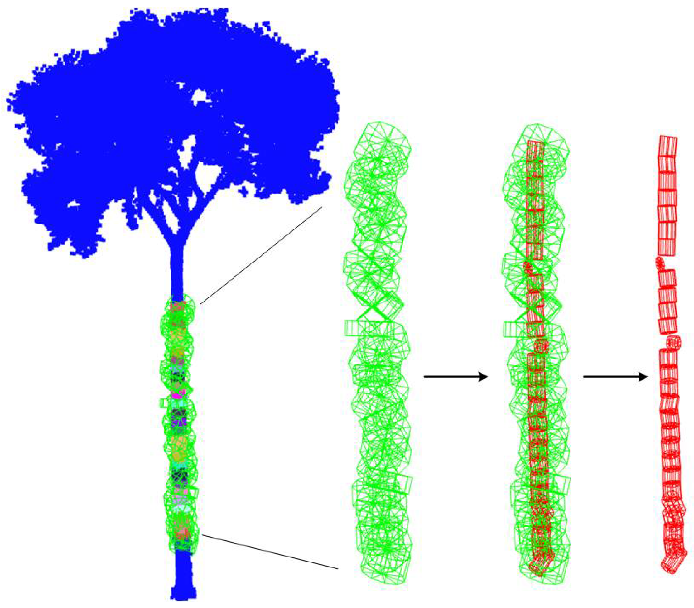 Forests 12 01020 g008