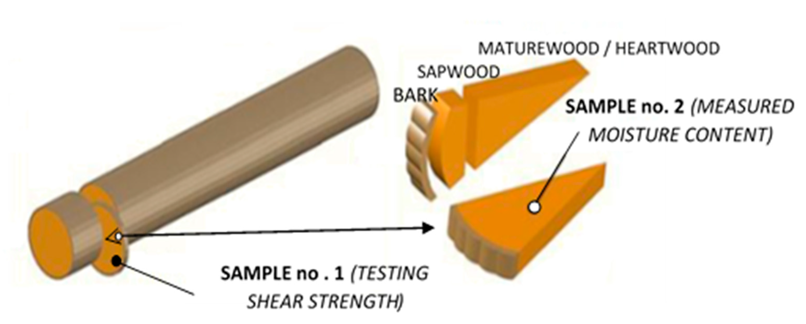 Forests 12 01025 g001 550