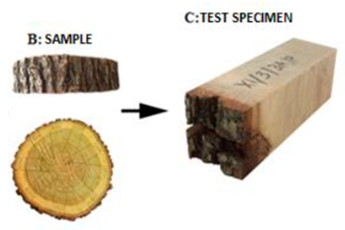 Forests 12 01025 g002 550