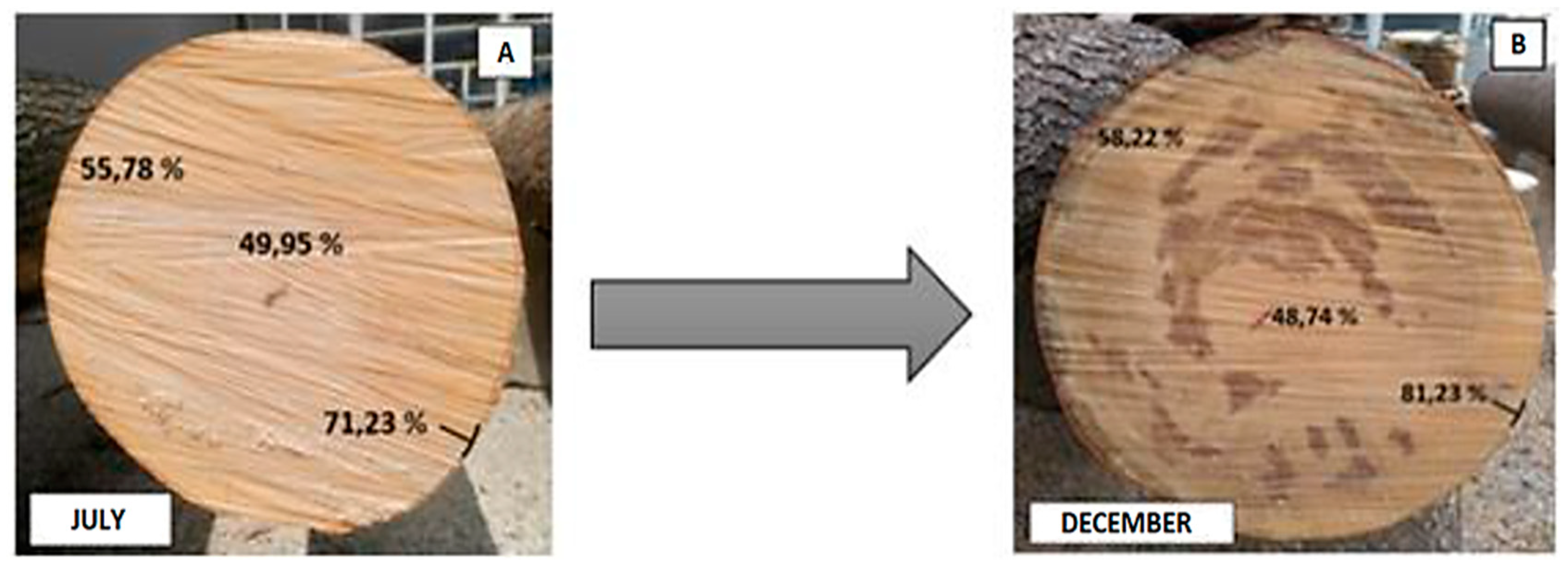 Forests 12 01025 g005 550