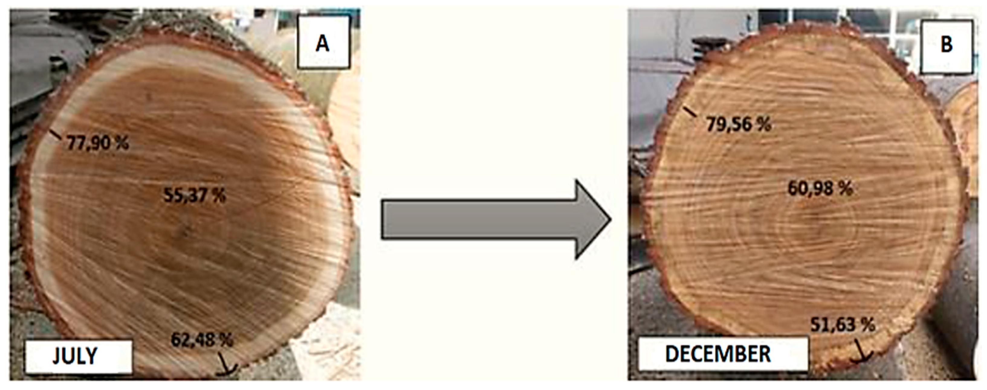 Forests 12 01025 g007 550