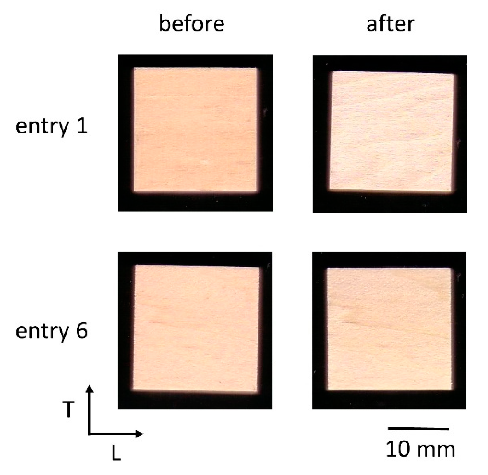 Forests 12 01028 g002
