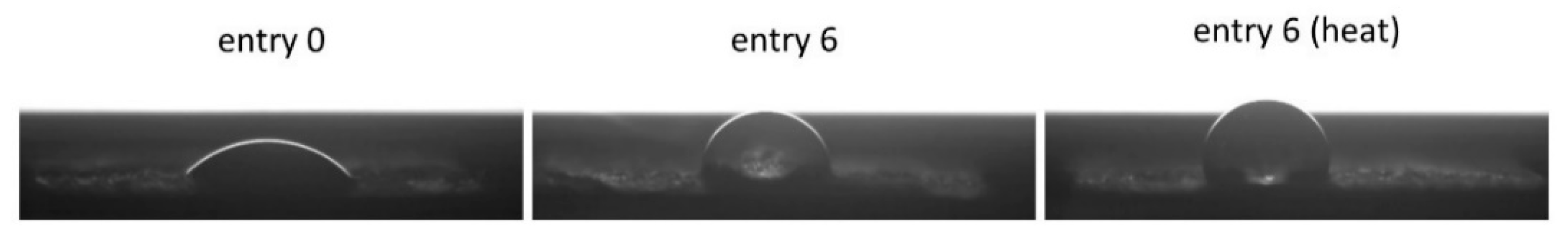 Forests 12 01028 g008