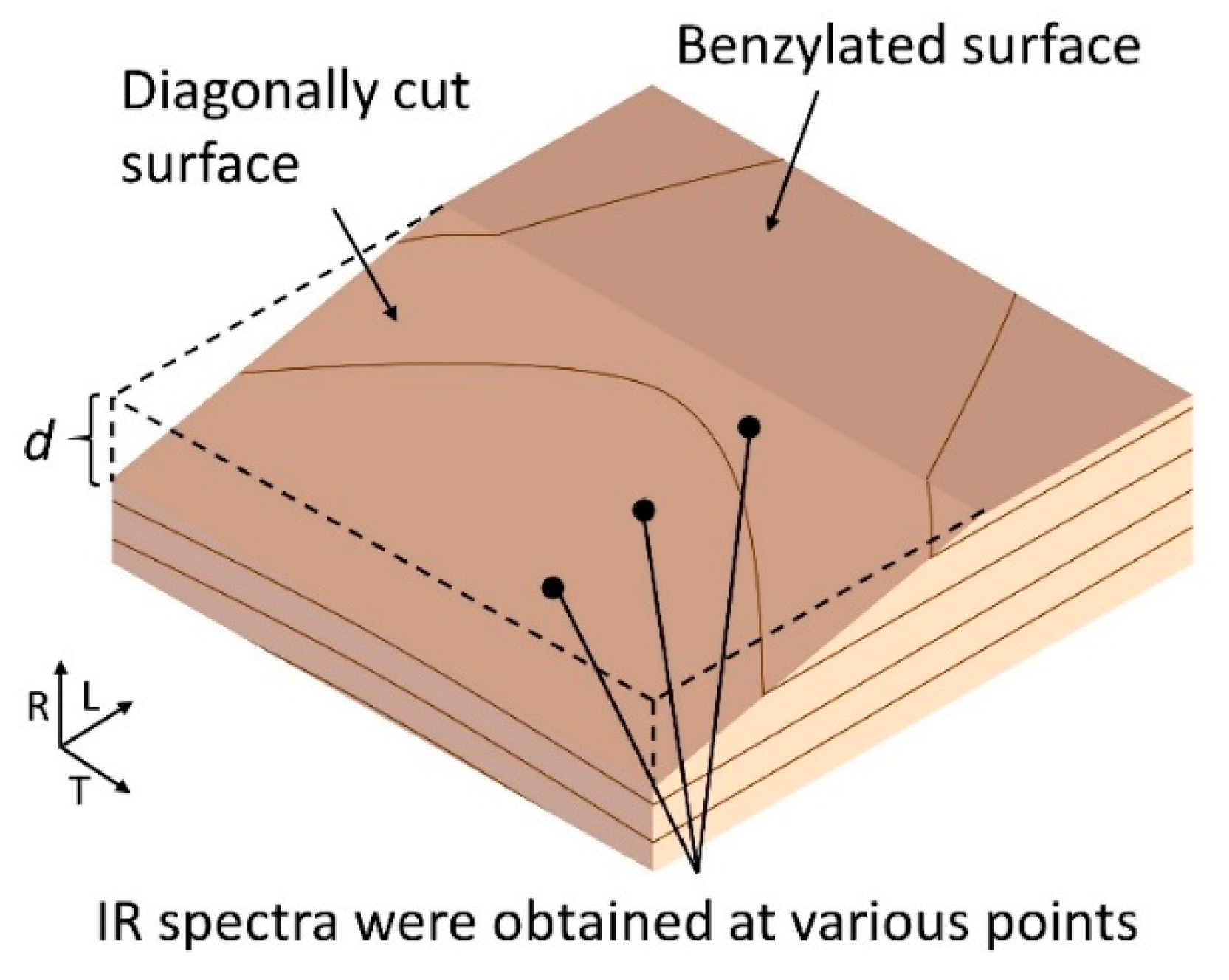 Forests 12 01028 g009