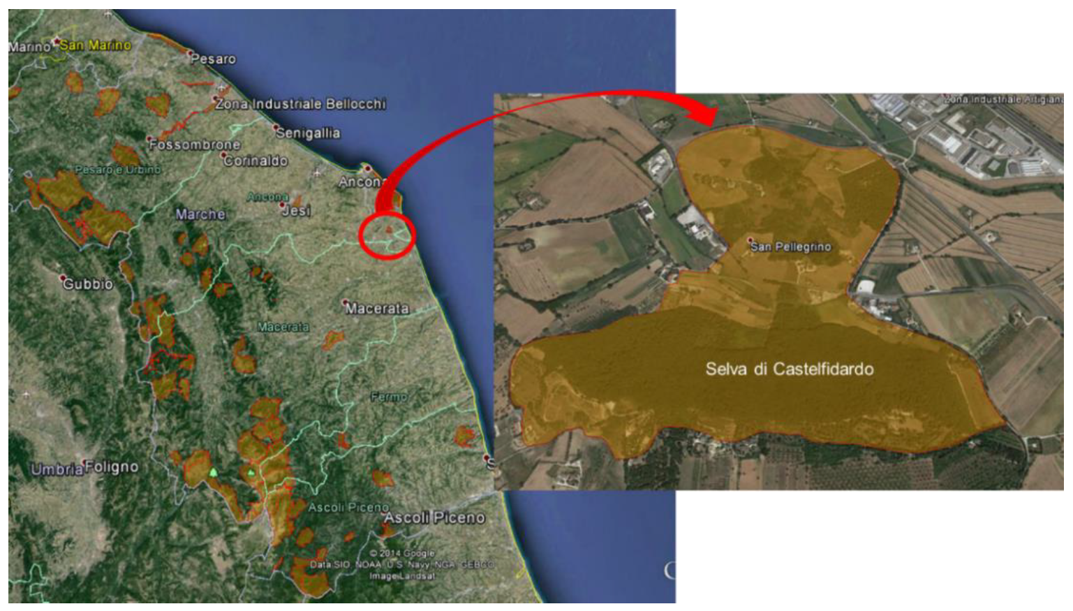 Forests 12 01032 g001 Forests 12 01032 g001