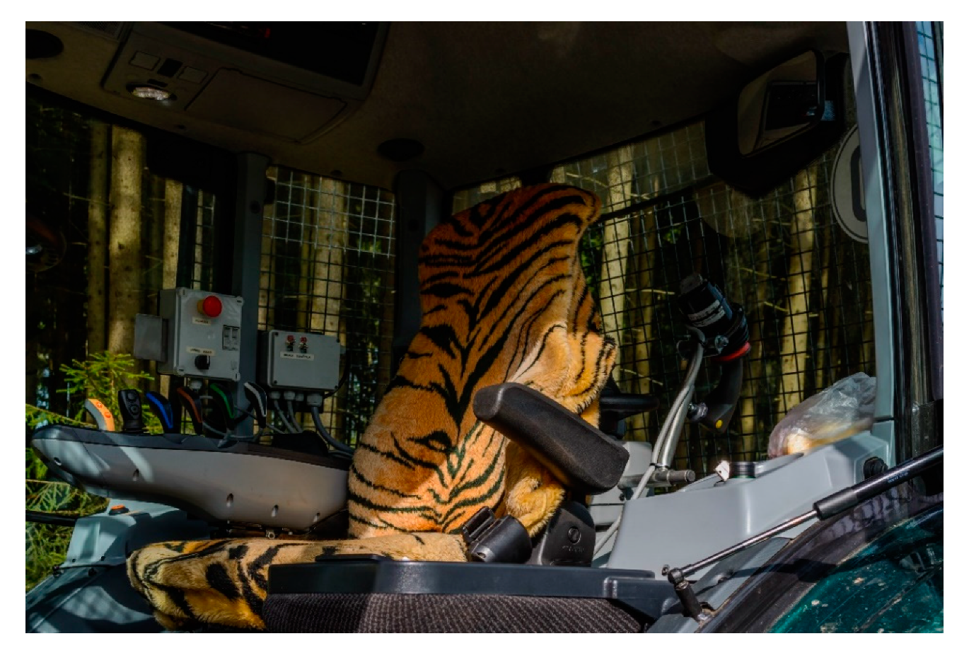 Forests 12 01038 g002 550