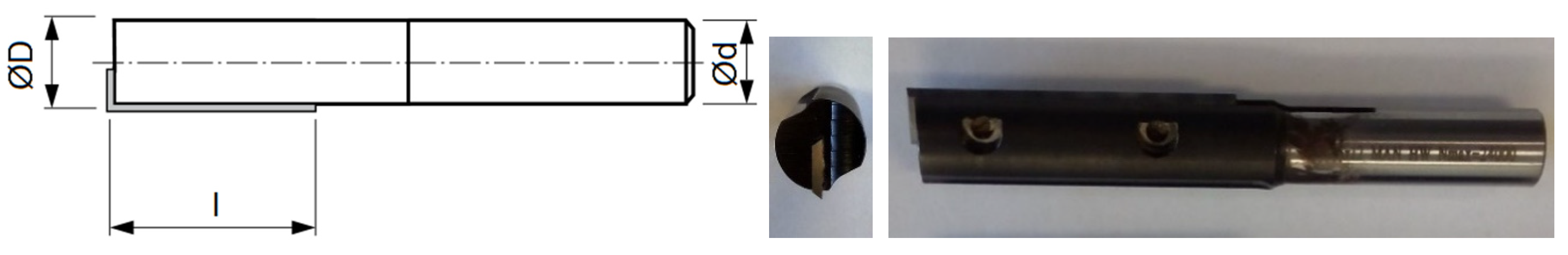 Forests 12 01039 g001 Forests 12 01039 g001