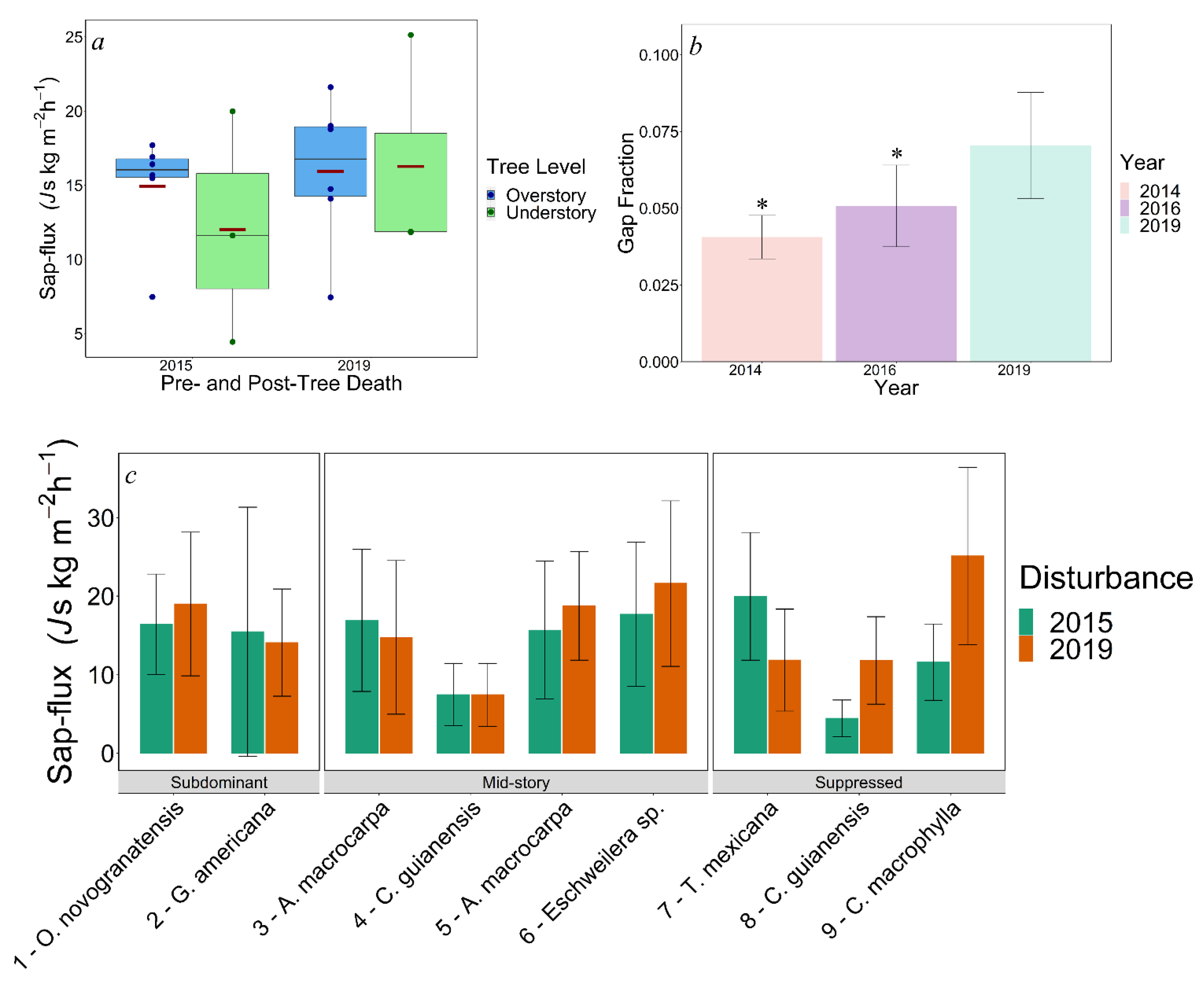 Forests 12 01041 g004 550
