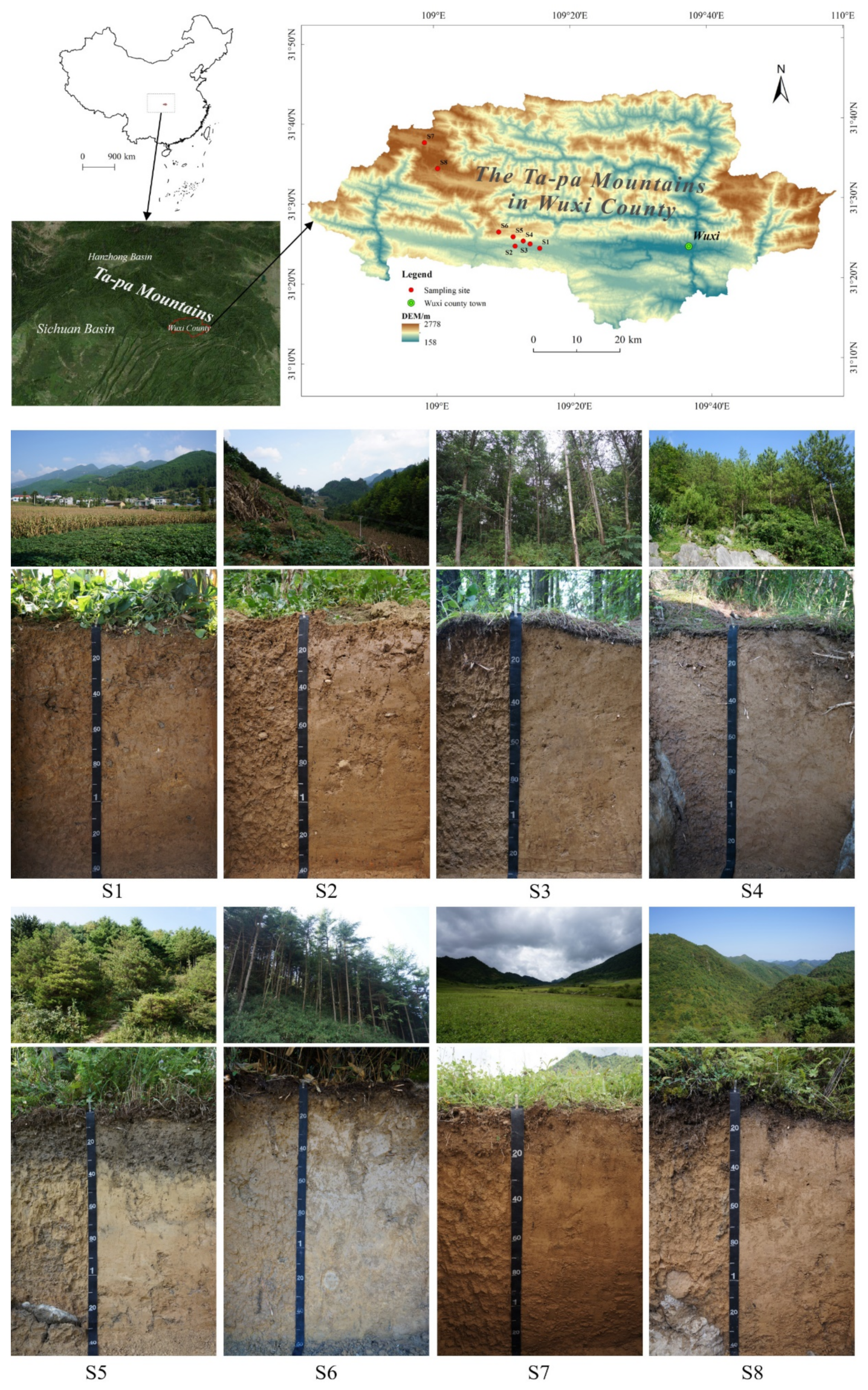 Forests 12 01044 g001 550