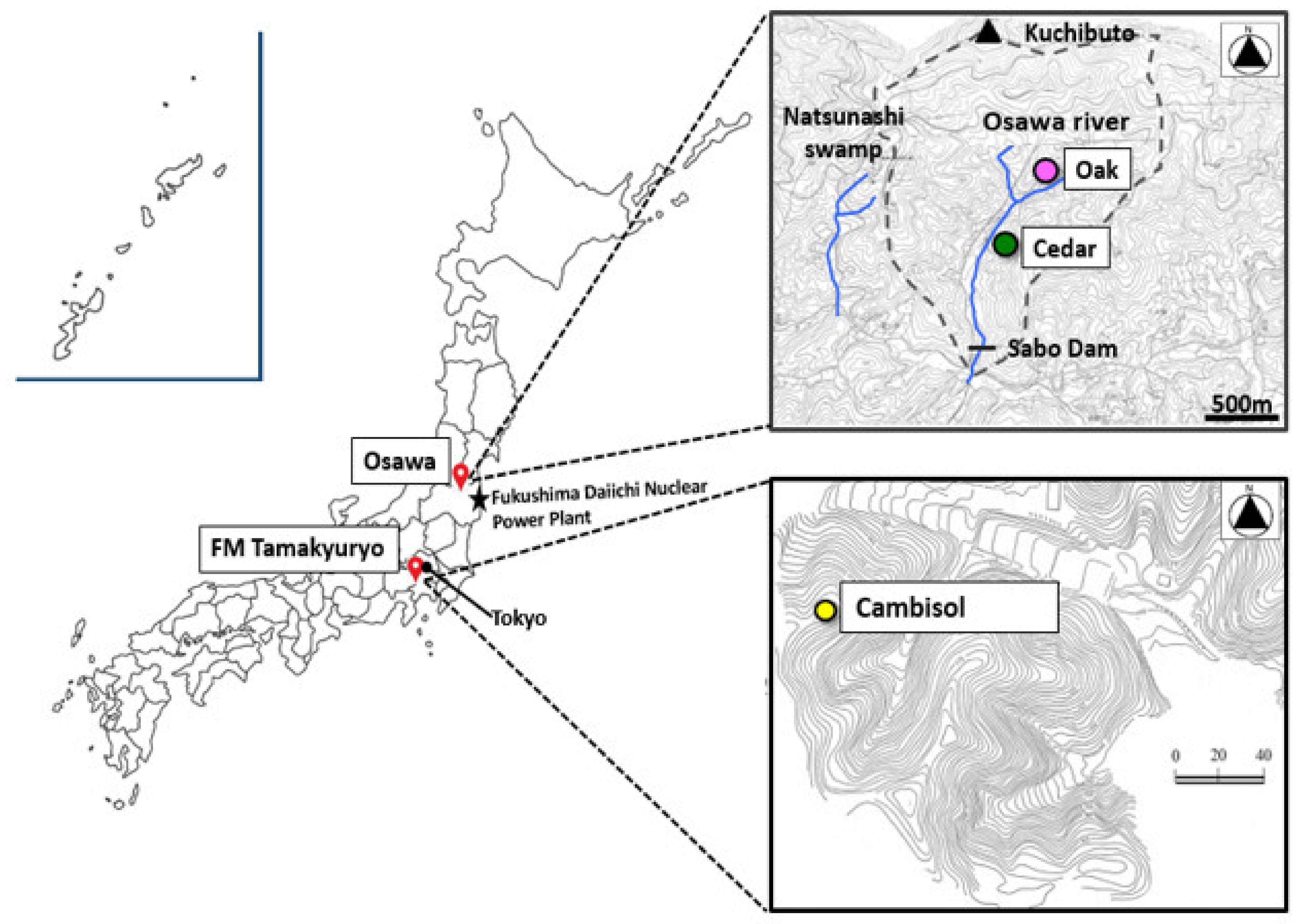 Forests 12 01045 g001