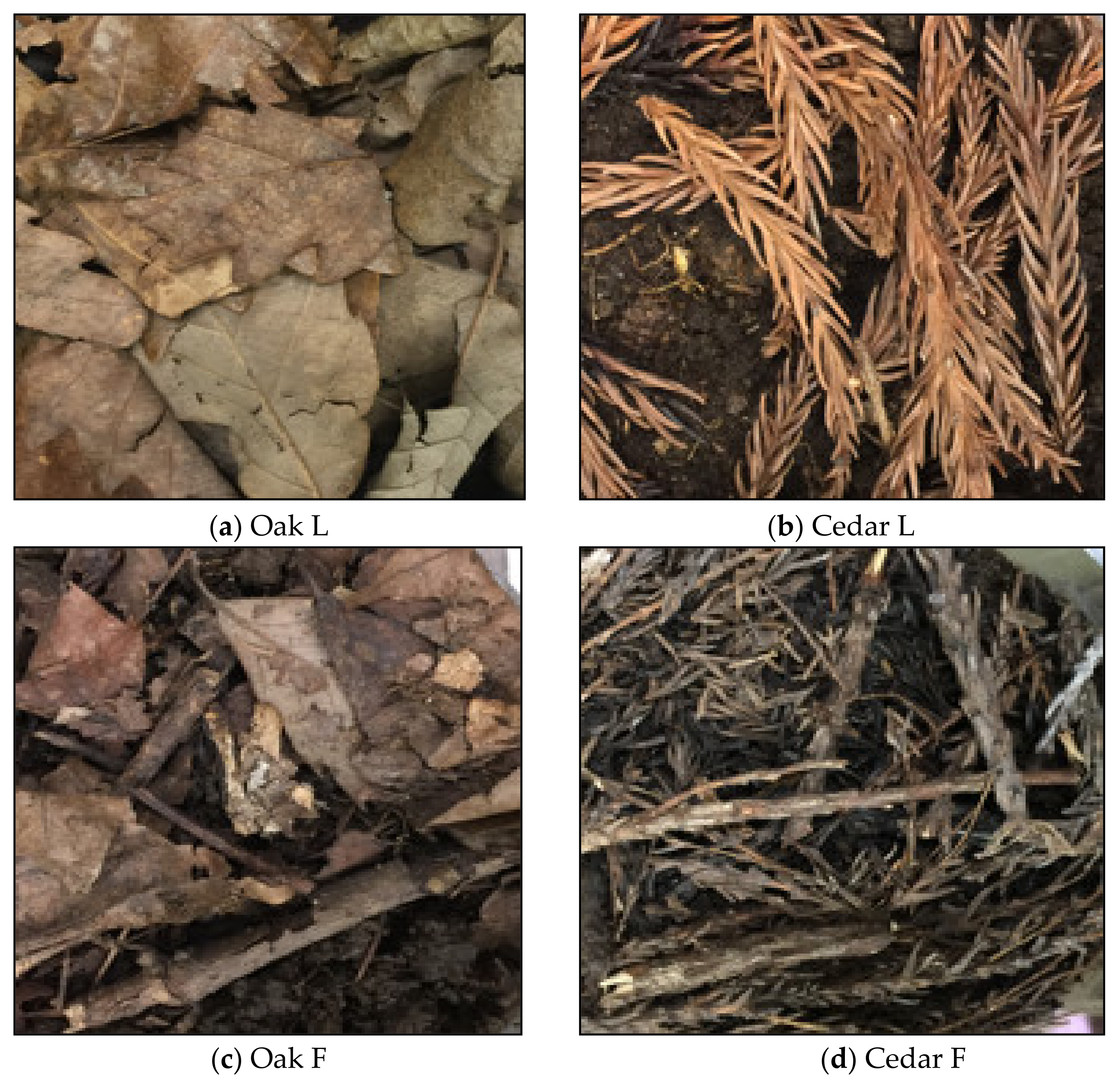 Forests 12 01045 g002