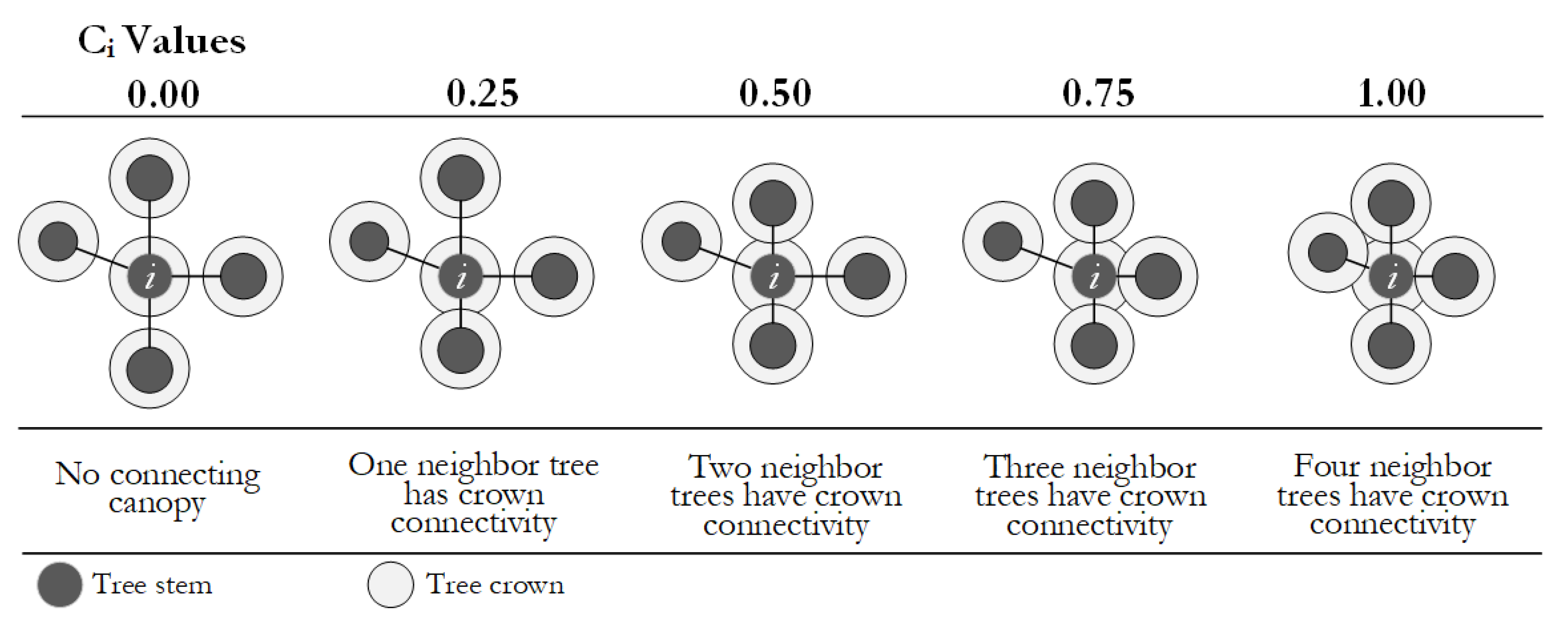 Forests 12 01046 g005 550