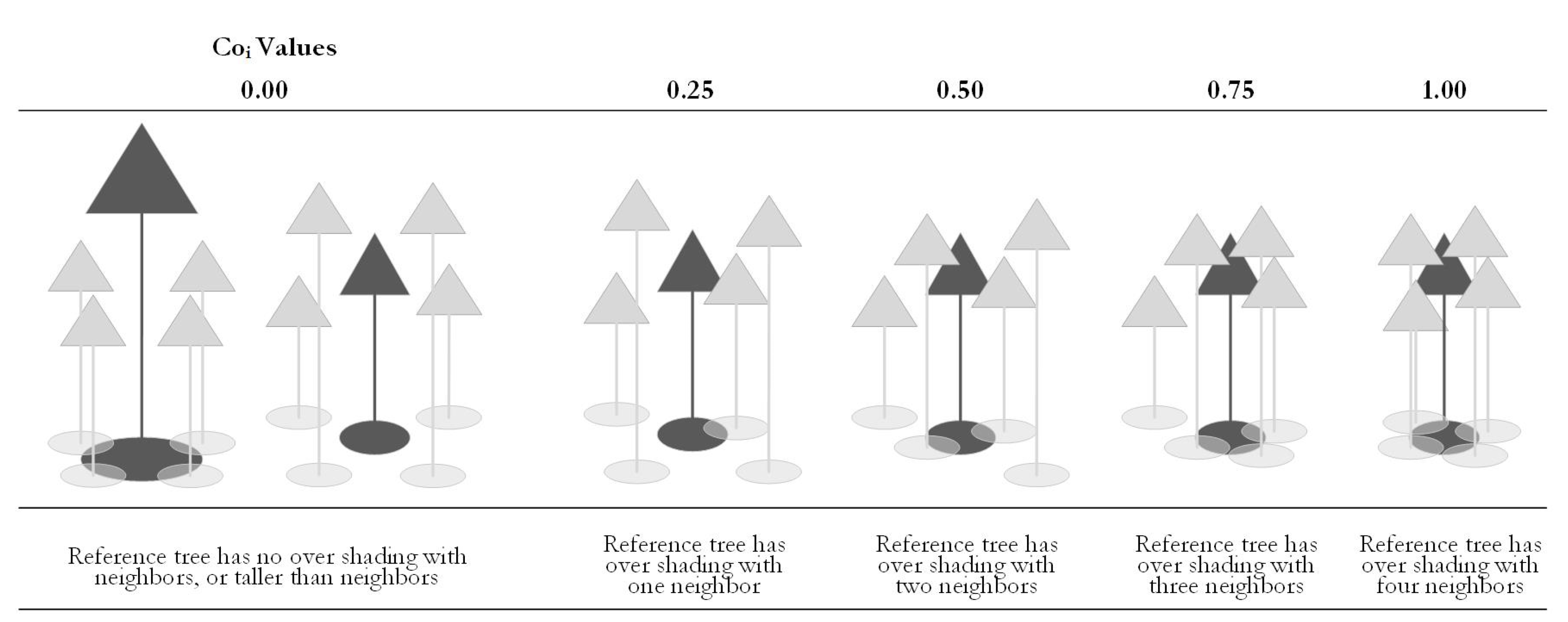 Forests 12 01046 g006 550