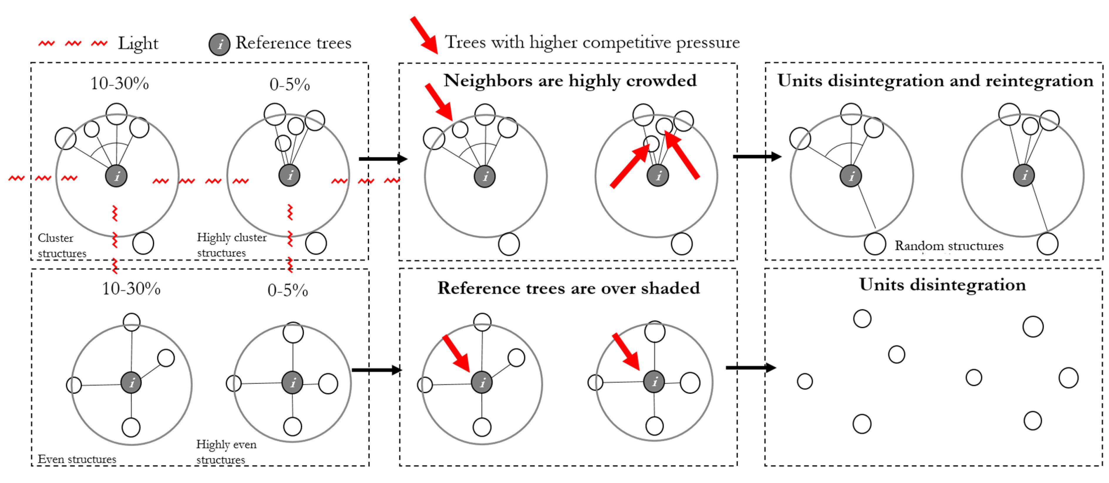 Forests 12 01046 g012 550