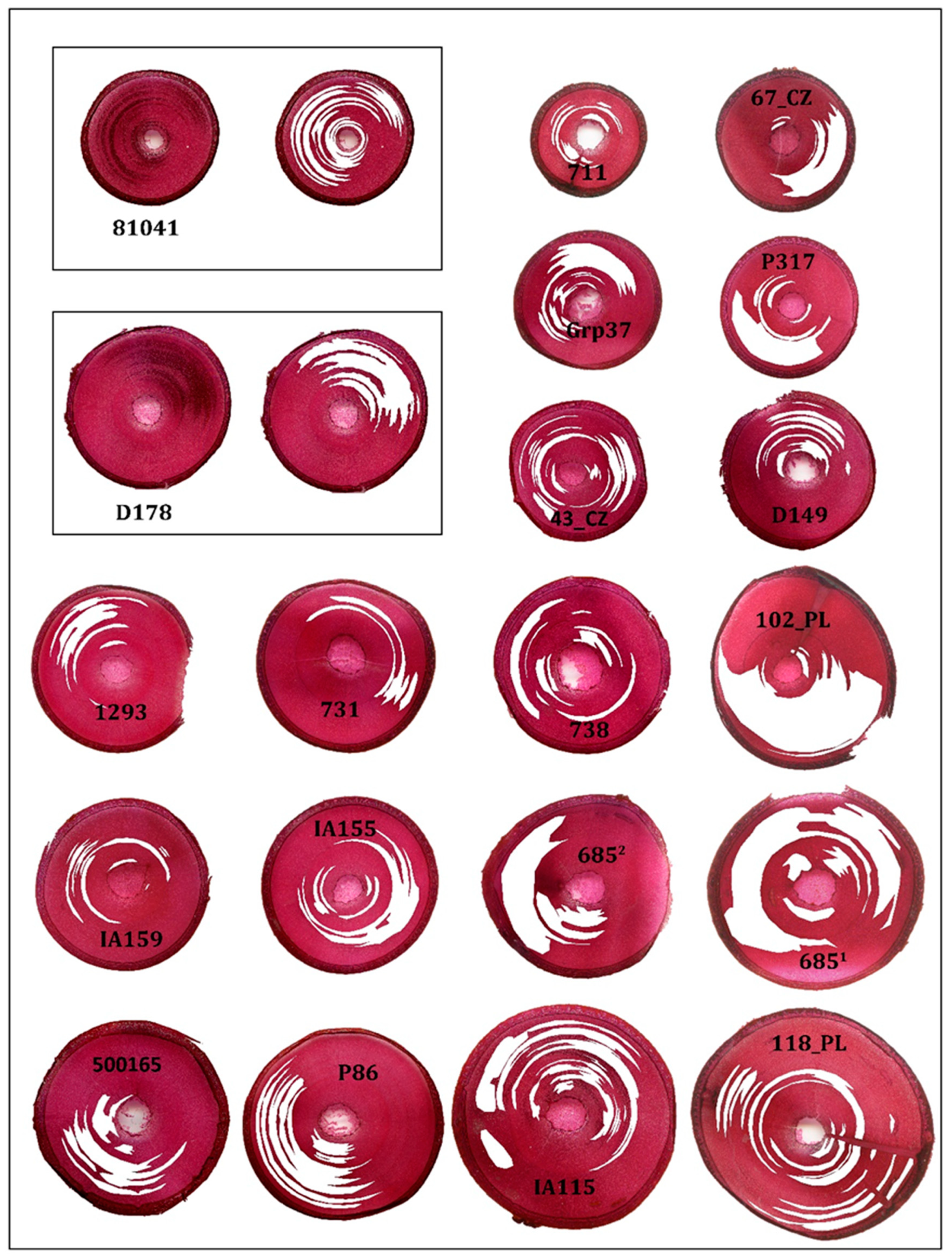 Forests 12 01048 g003