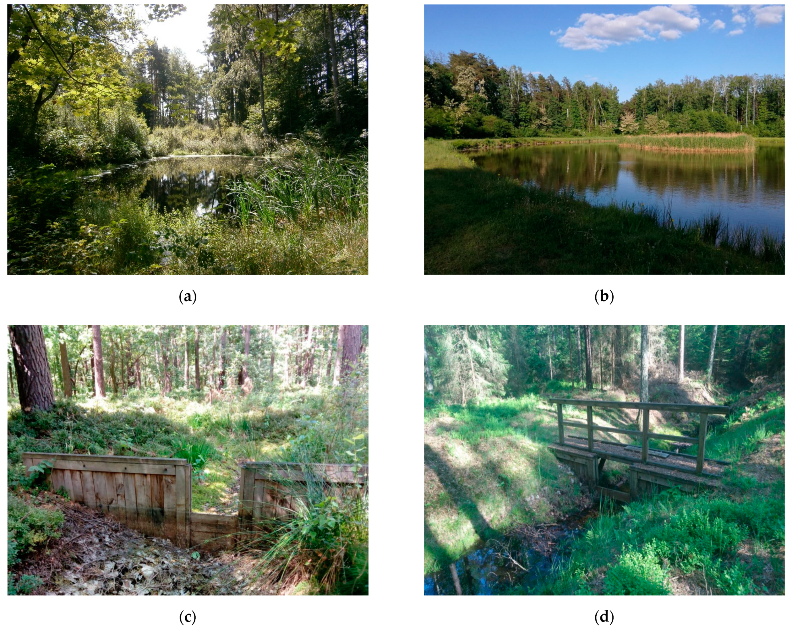 Forests 12 01053 g002