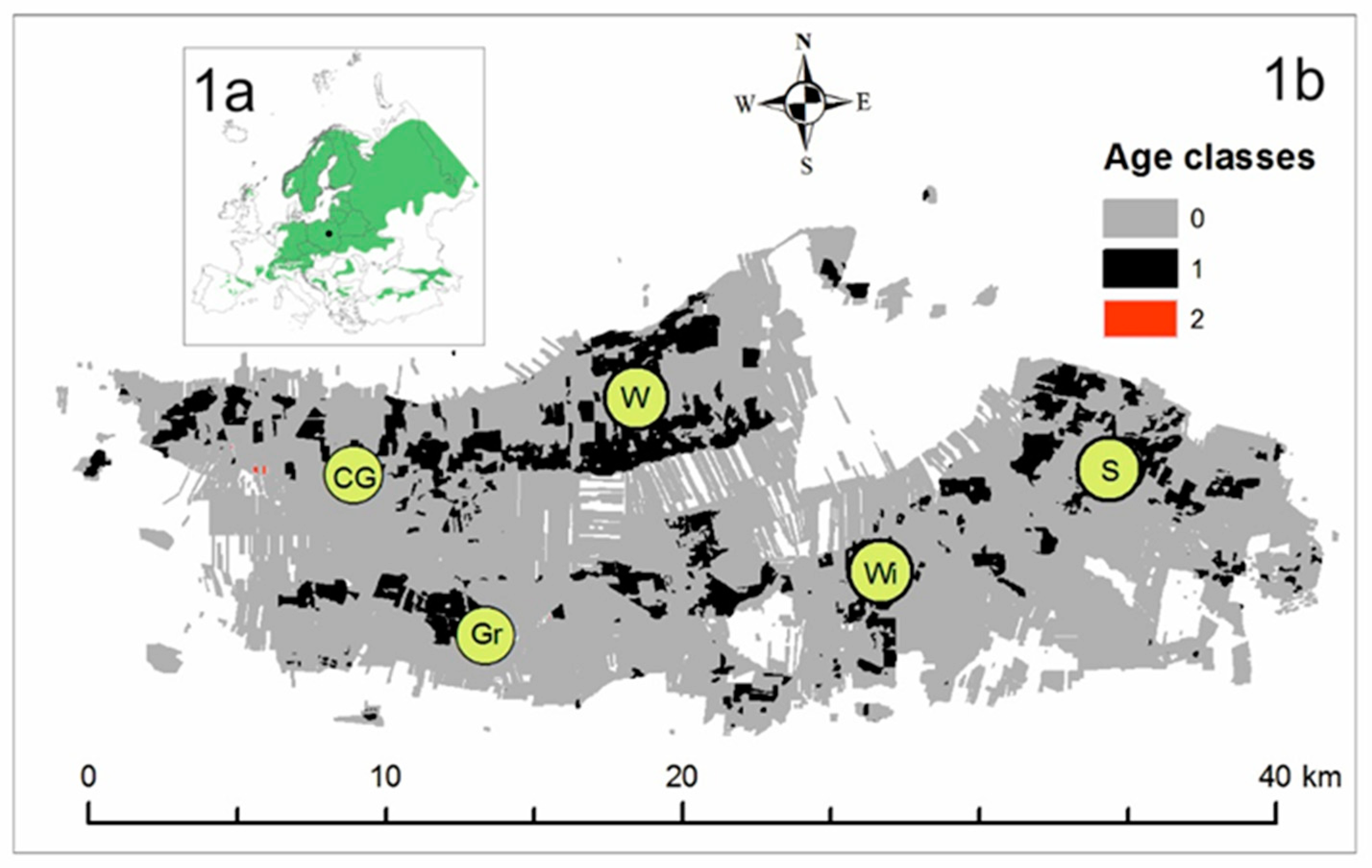 Forests 12 01055 g001 Forests 12 01055 g001