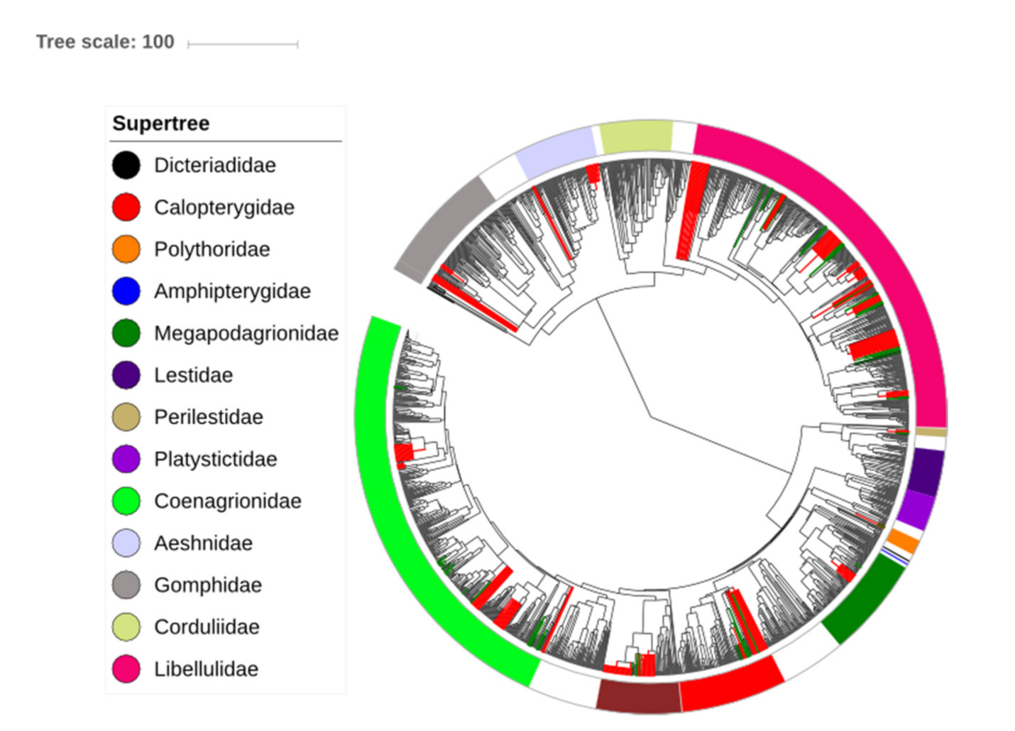 Forests 12 01061 g002