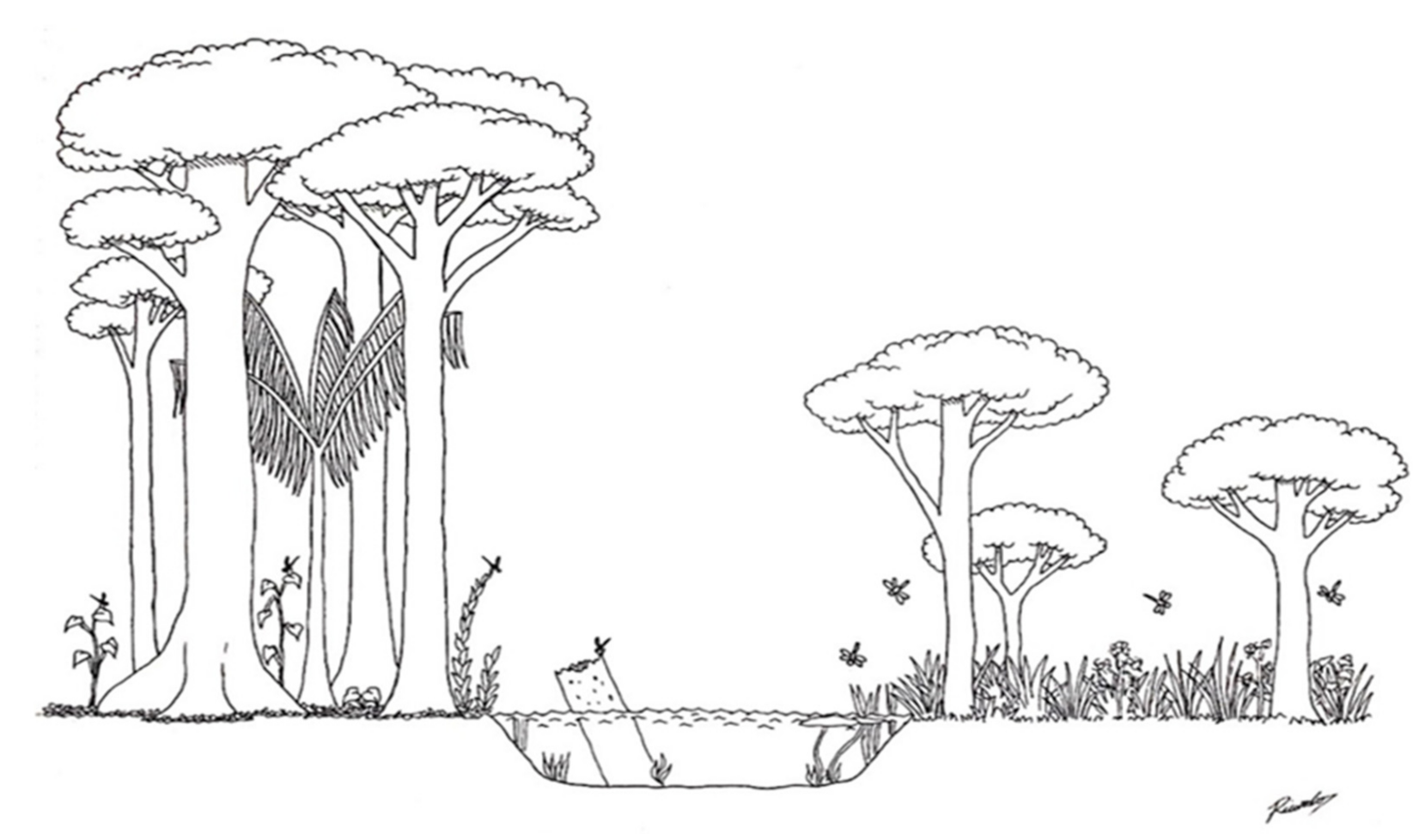 Forests 12 01061 g004