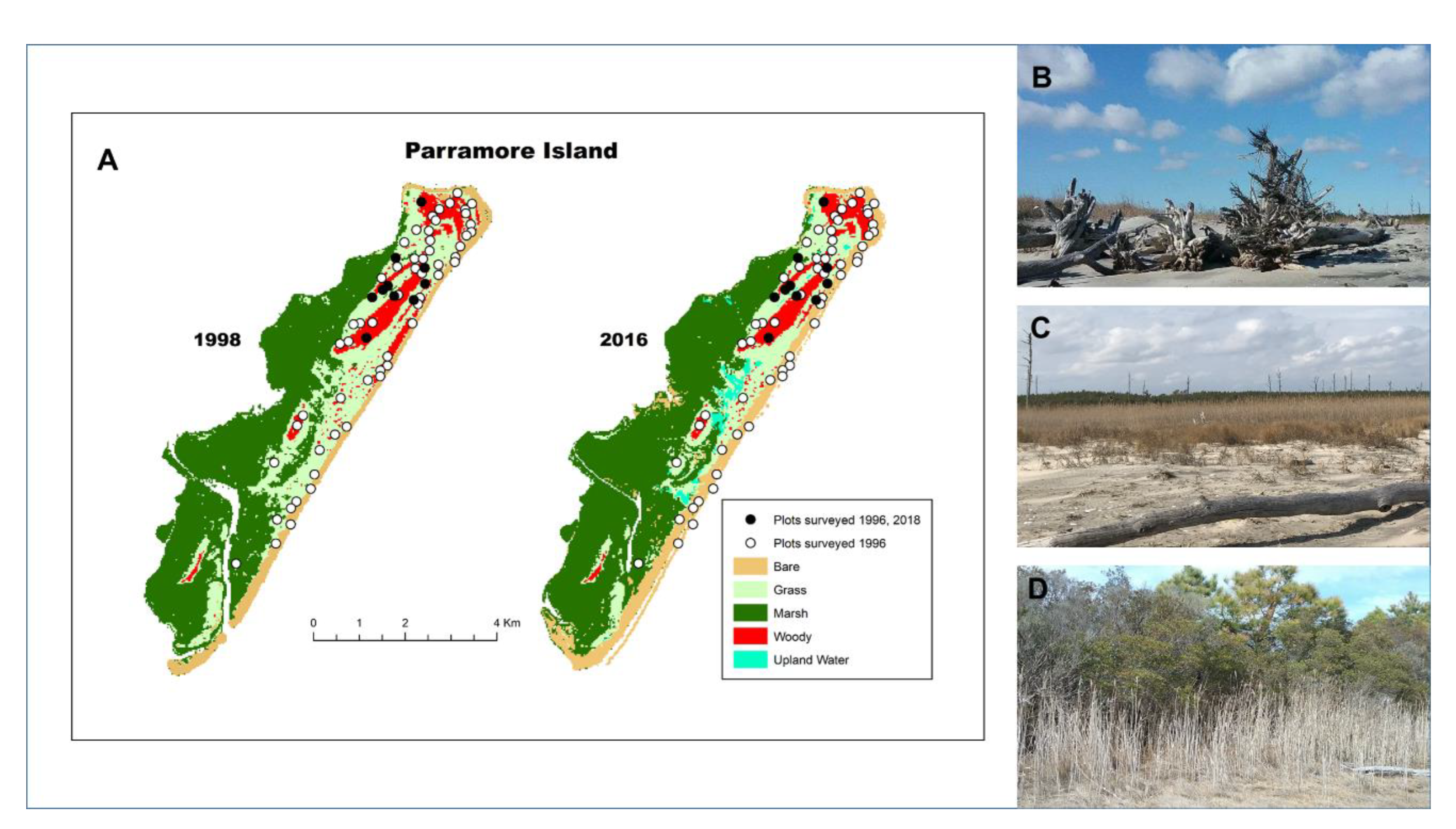 Forests 12 01063 g004