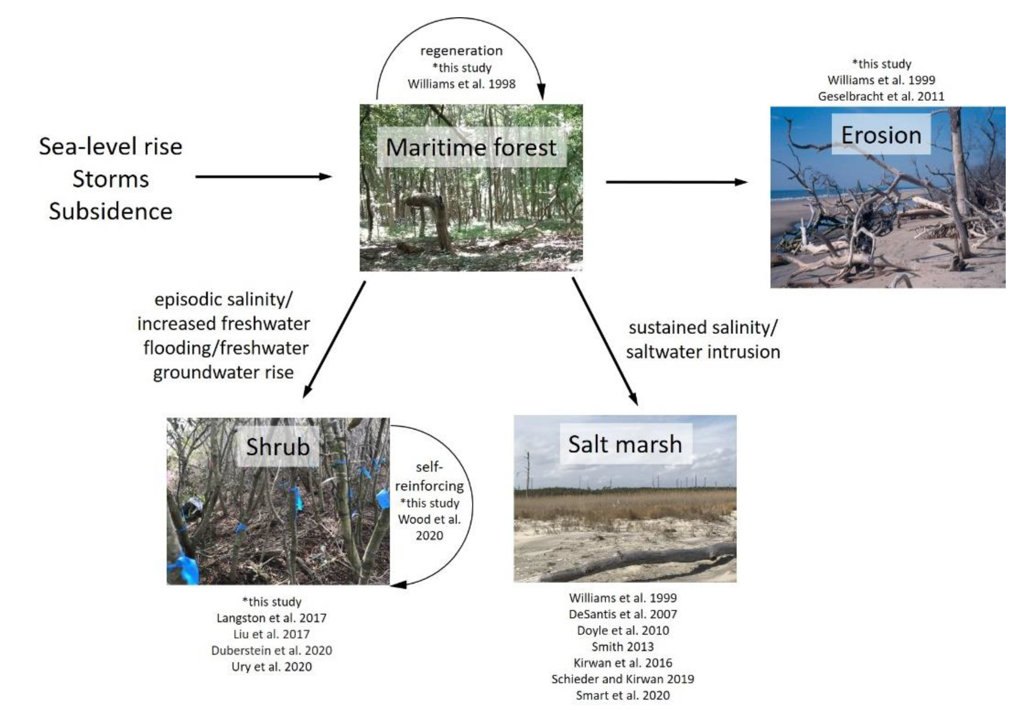 Forests 12 01063 g007