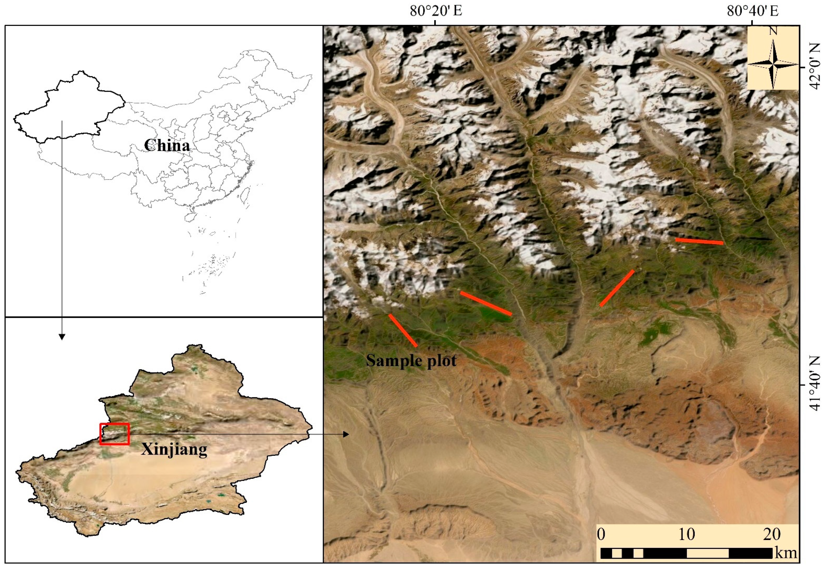 Forests 12 01066 g001 550
