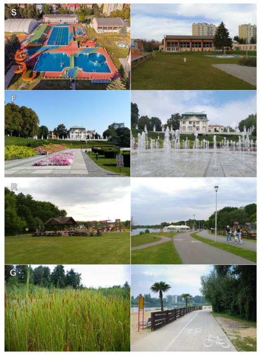 Forests 12 01077 g002