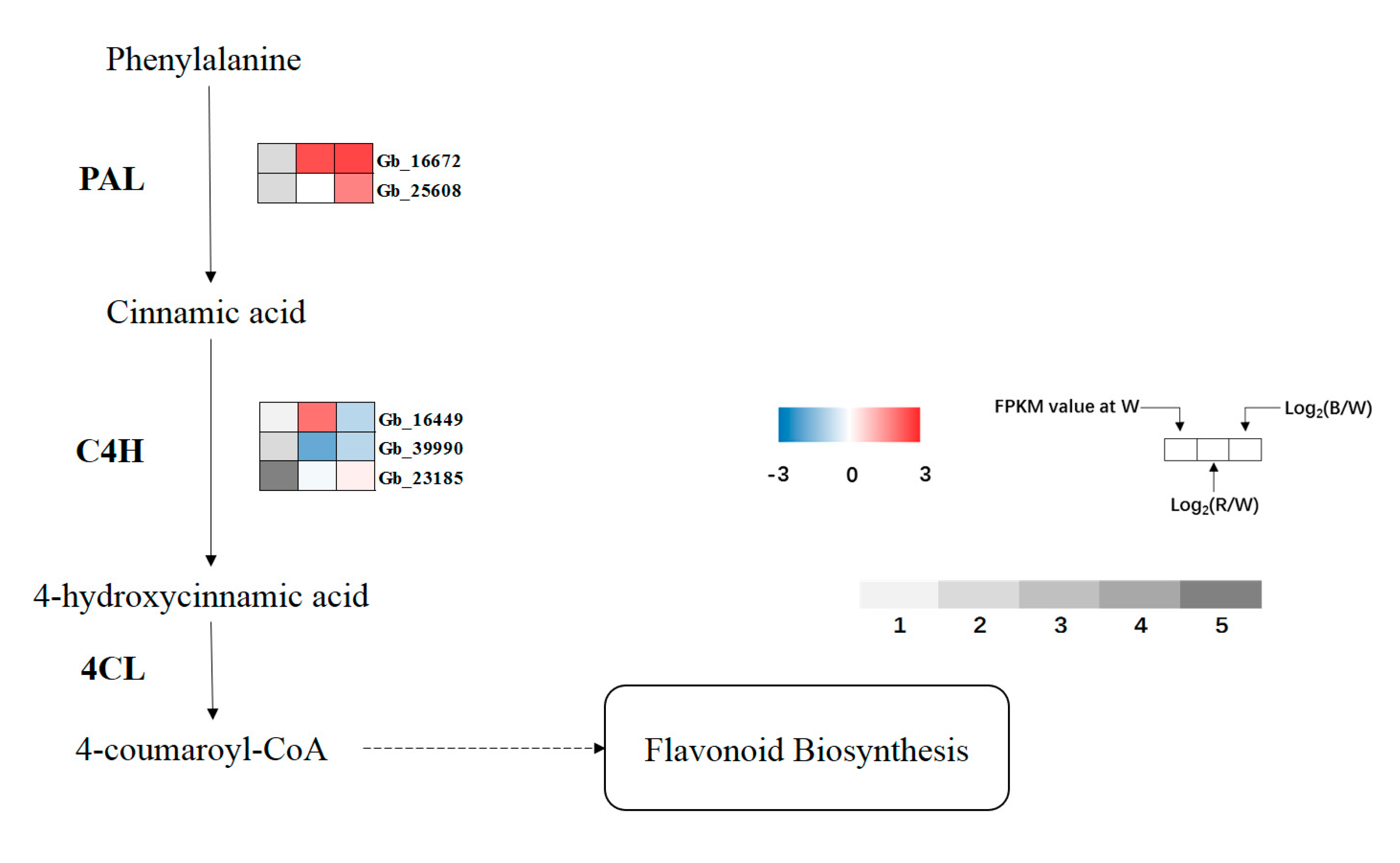 Forests 12 01079 g008