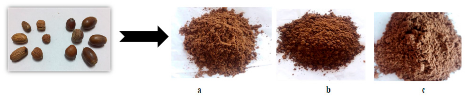 Forests 12 01088 g001 550