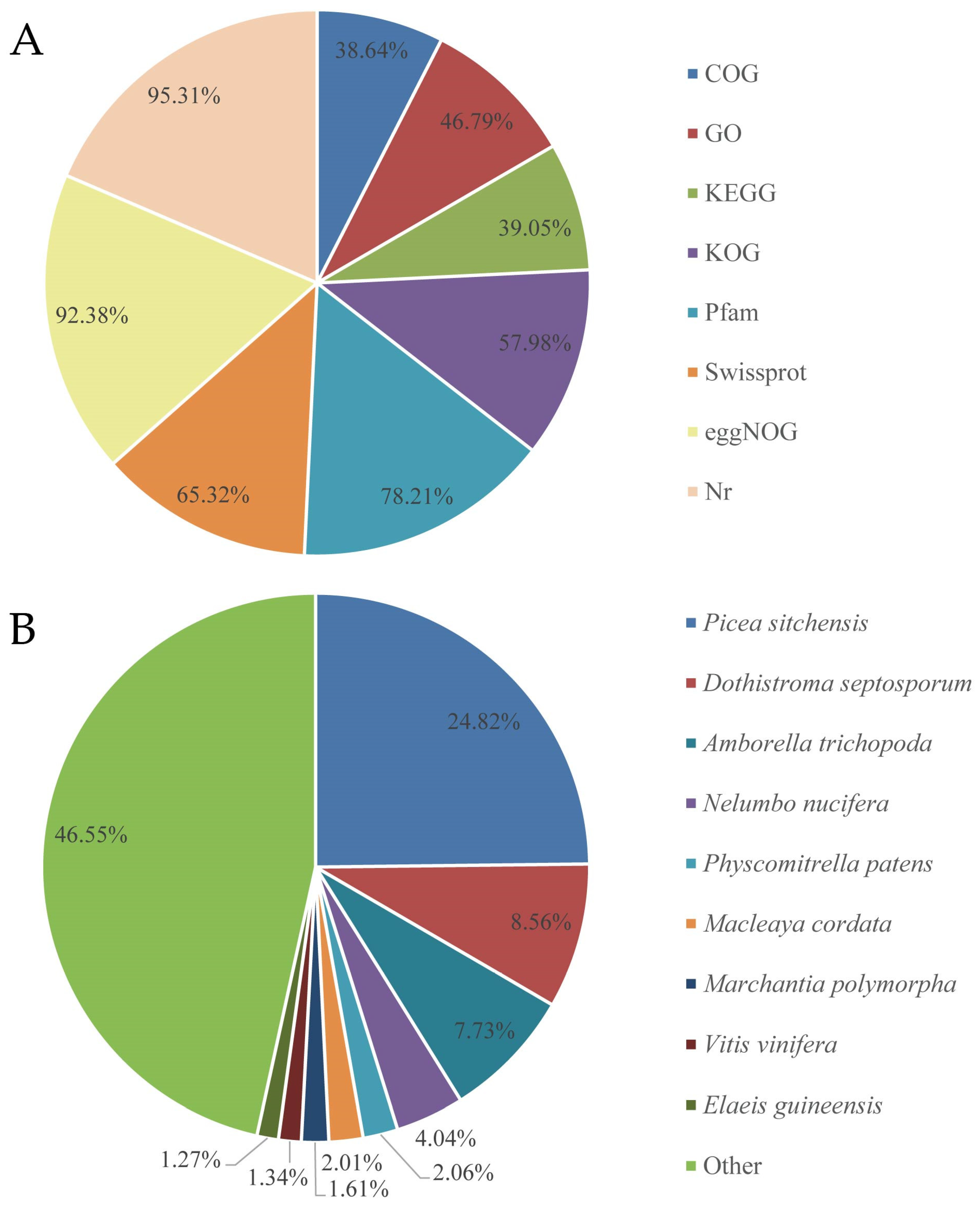 Public databases