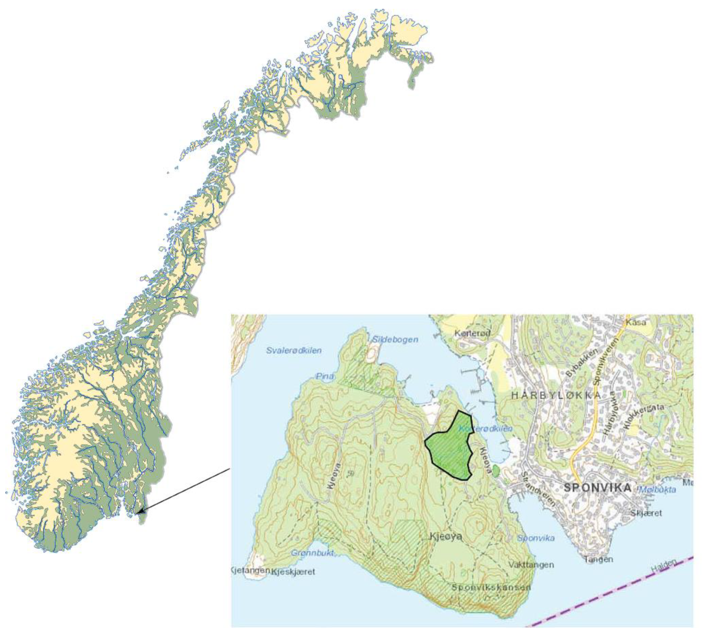 Forests 12 01098 g001 Forests 12 01098 g001