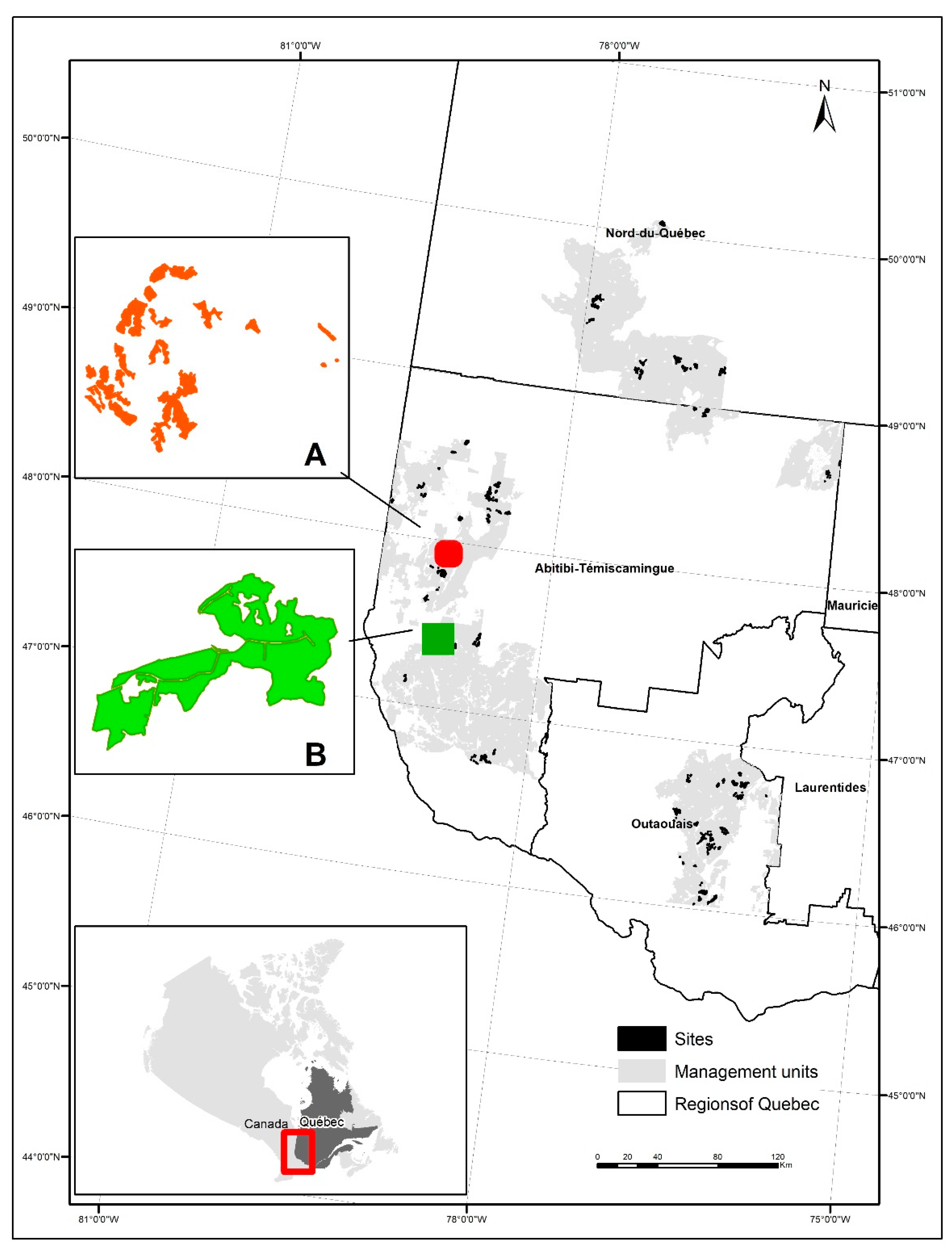 Forests 12 01108 g001 Forests 12 01108 g001
