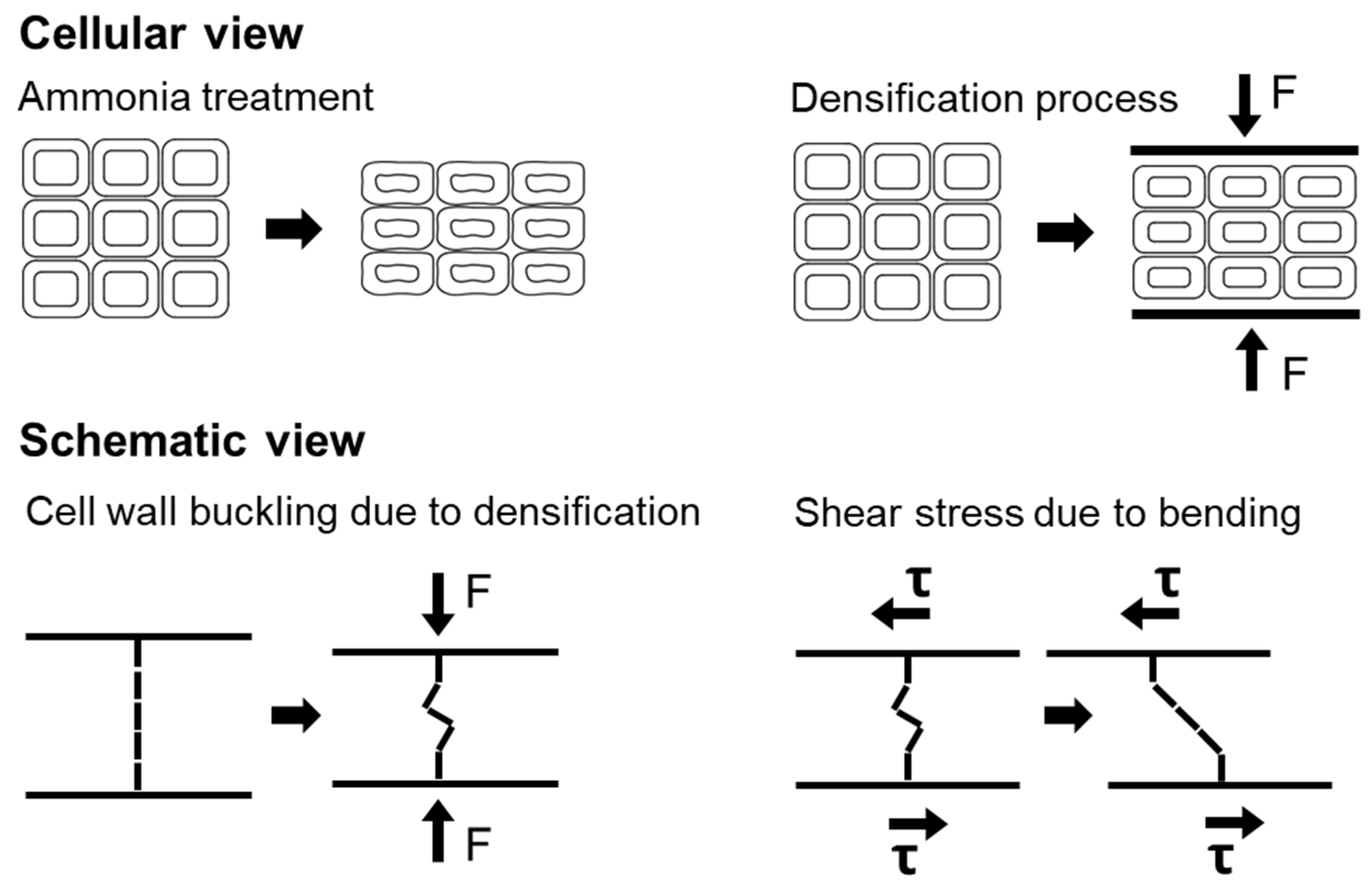 Forests 12 01110 g002