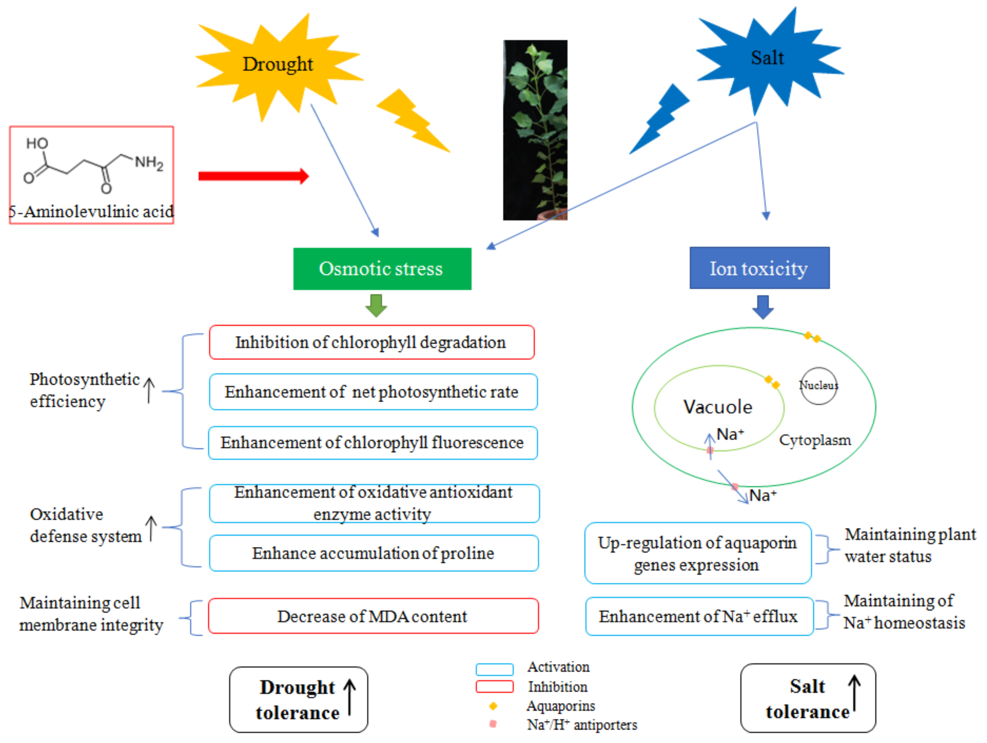 Forests 12 01112 g006