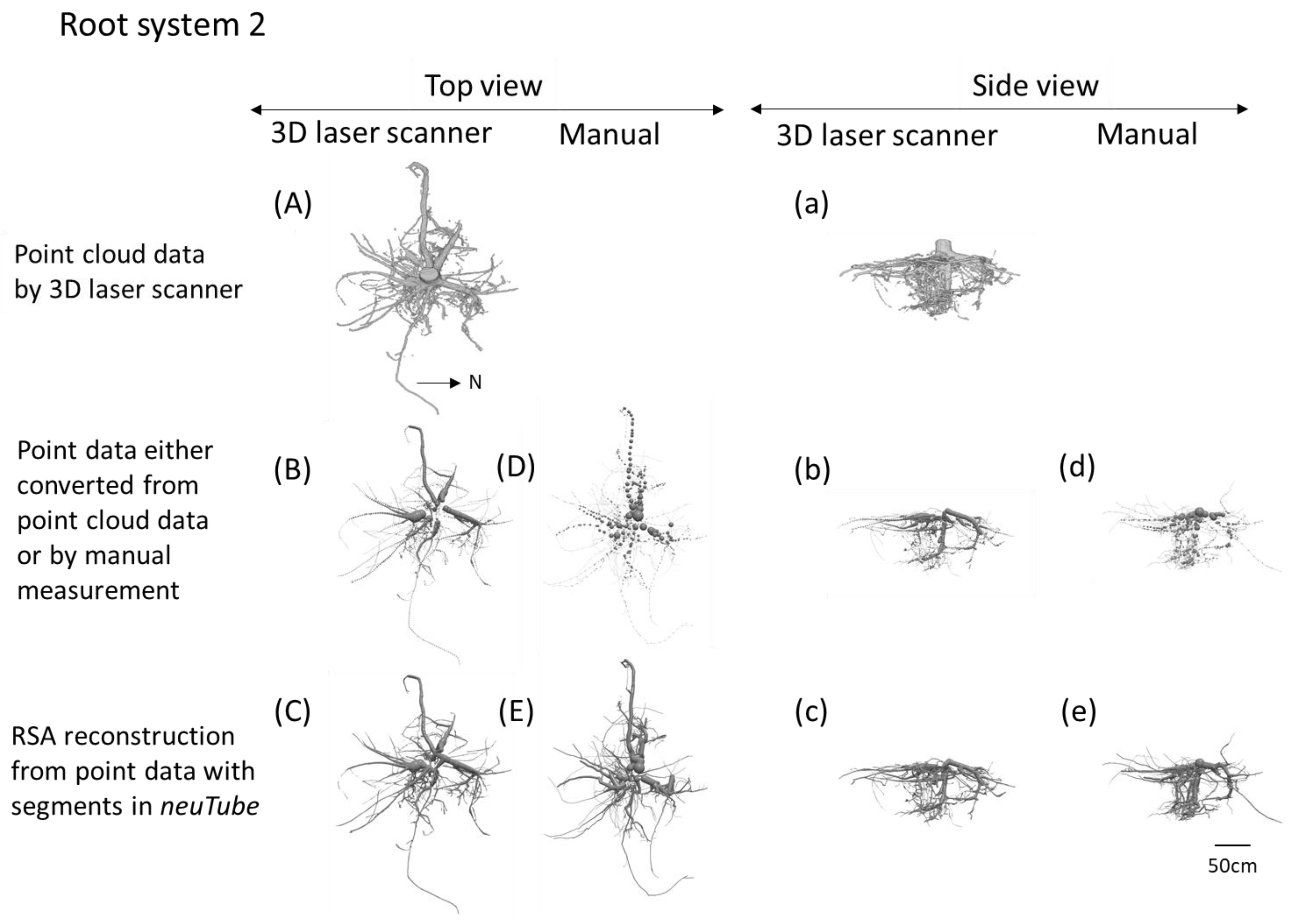 Forests 12 01117 g004