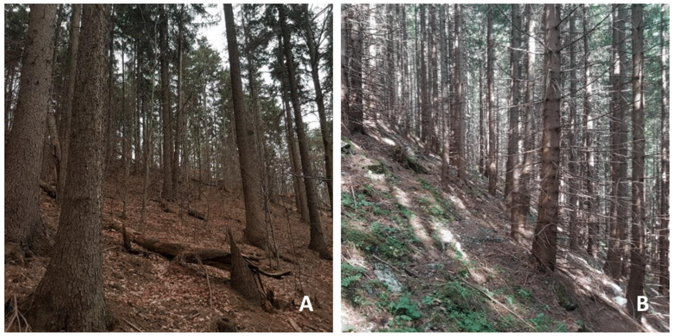 Forests 12 01118 g001 550