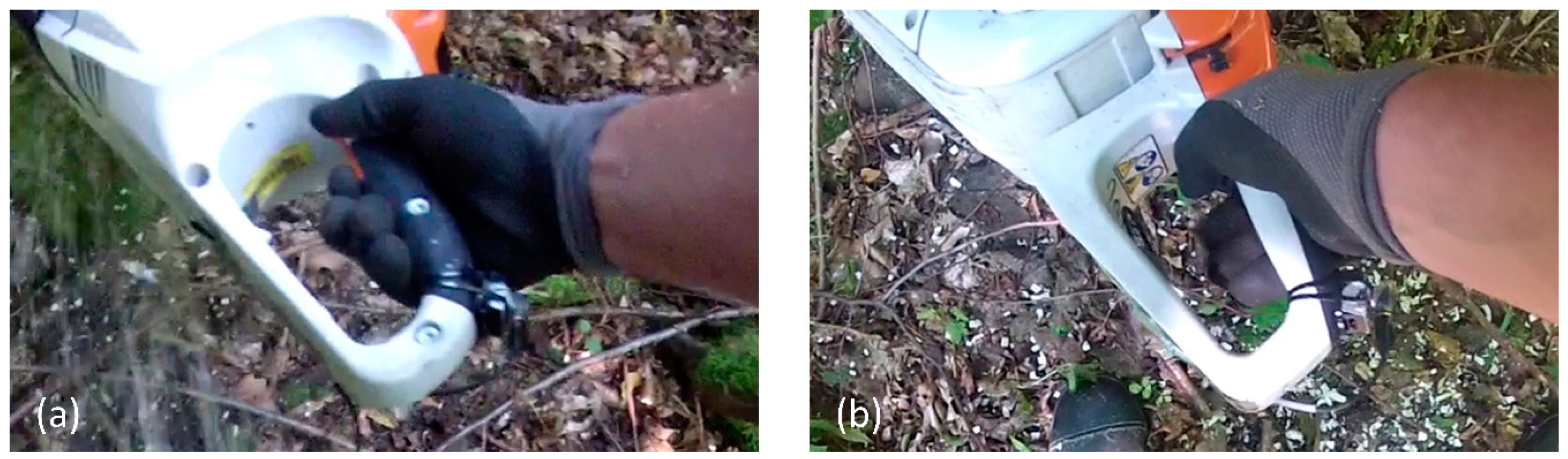 Forests 12 01120 g005 Forests 12 01120 g005