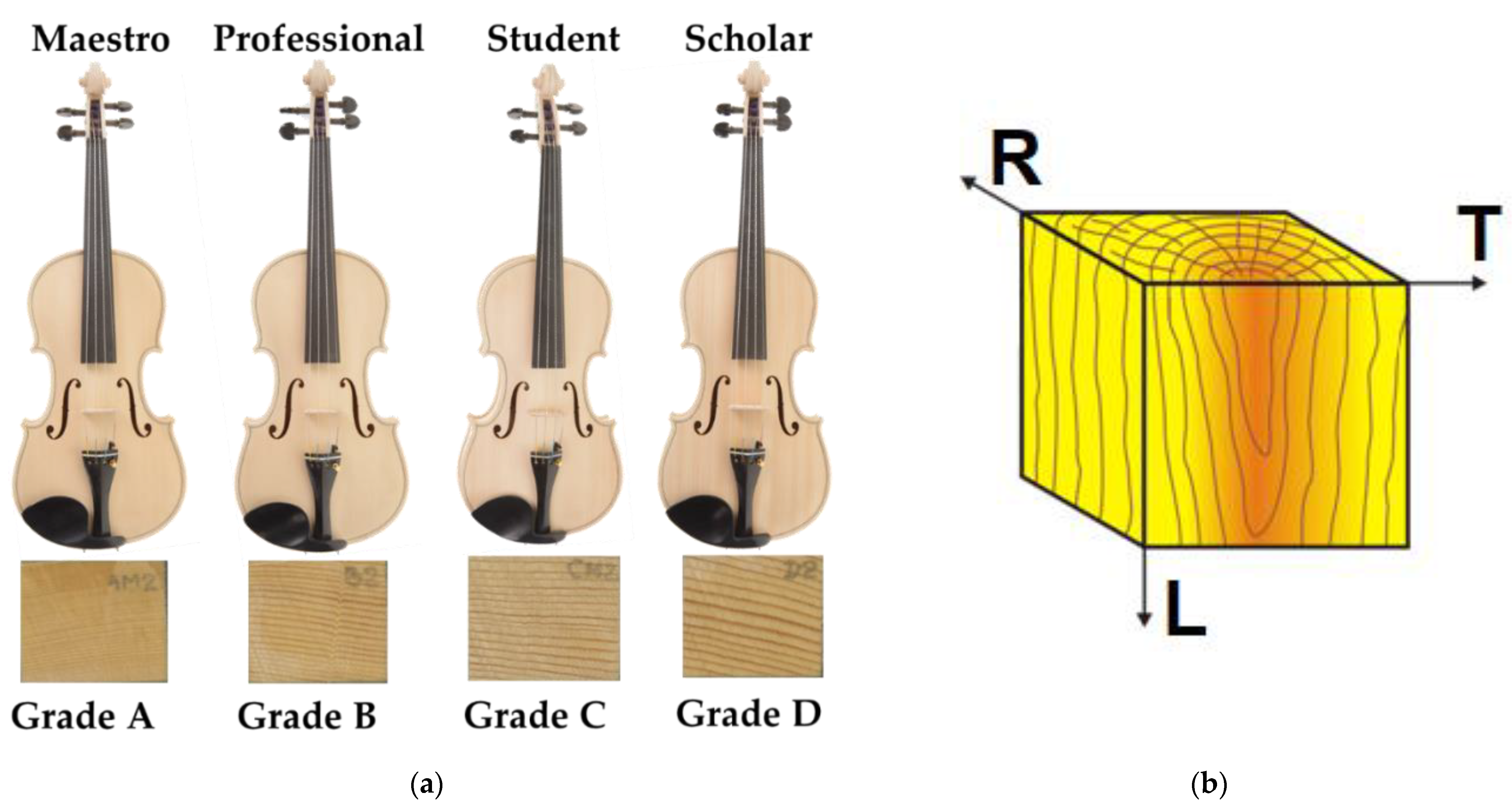 Forests 12 01122 g001 Forests 12 01122 g001