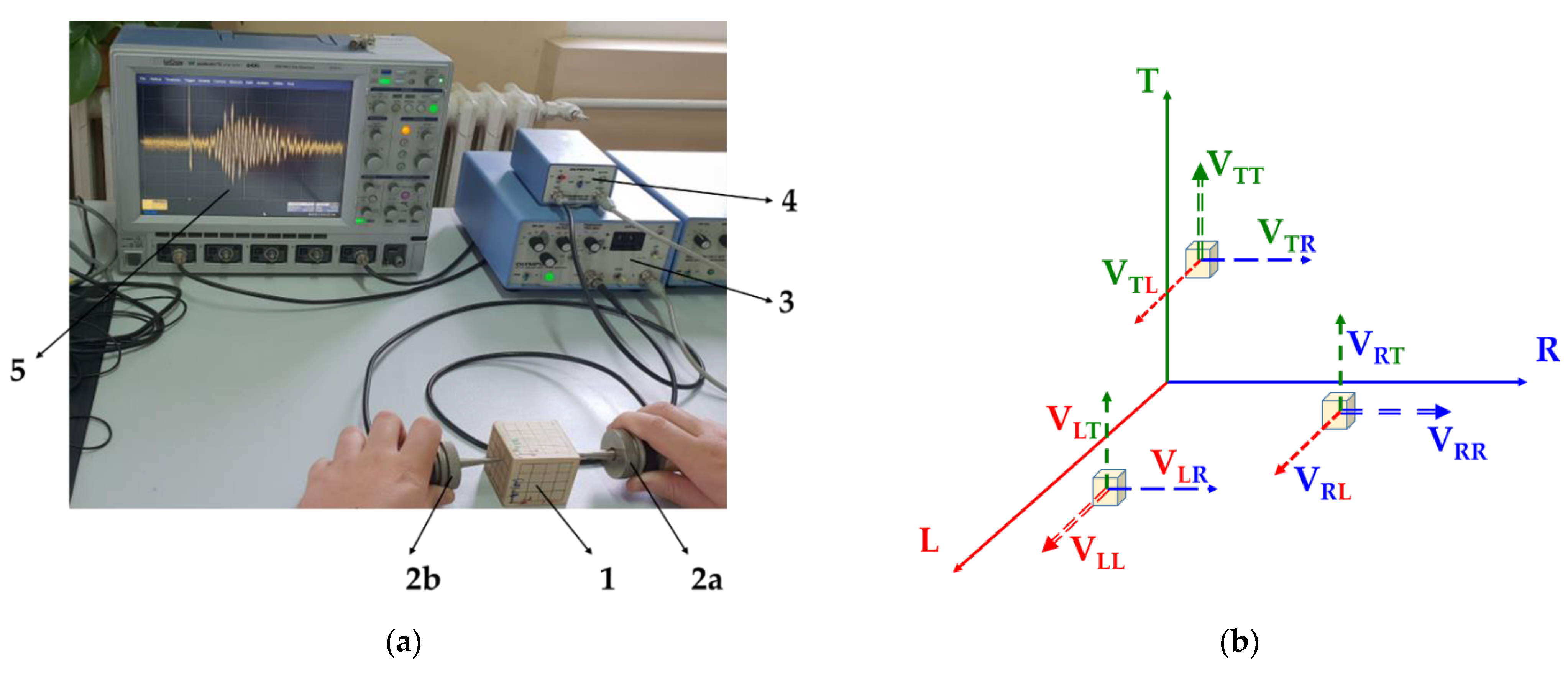 Forests 12 01122 g003 Forests 12 01122 g003