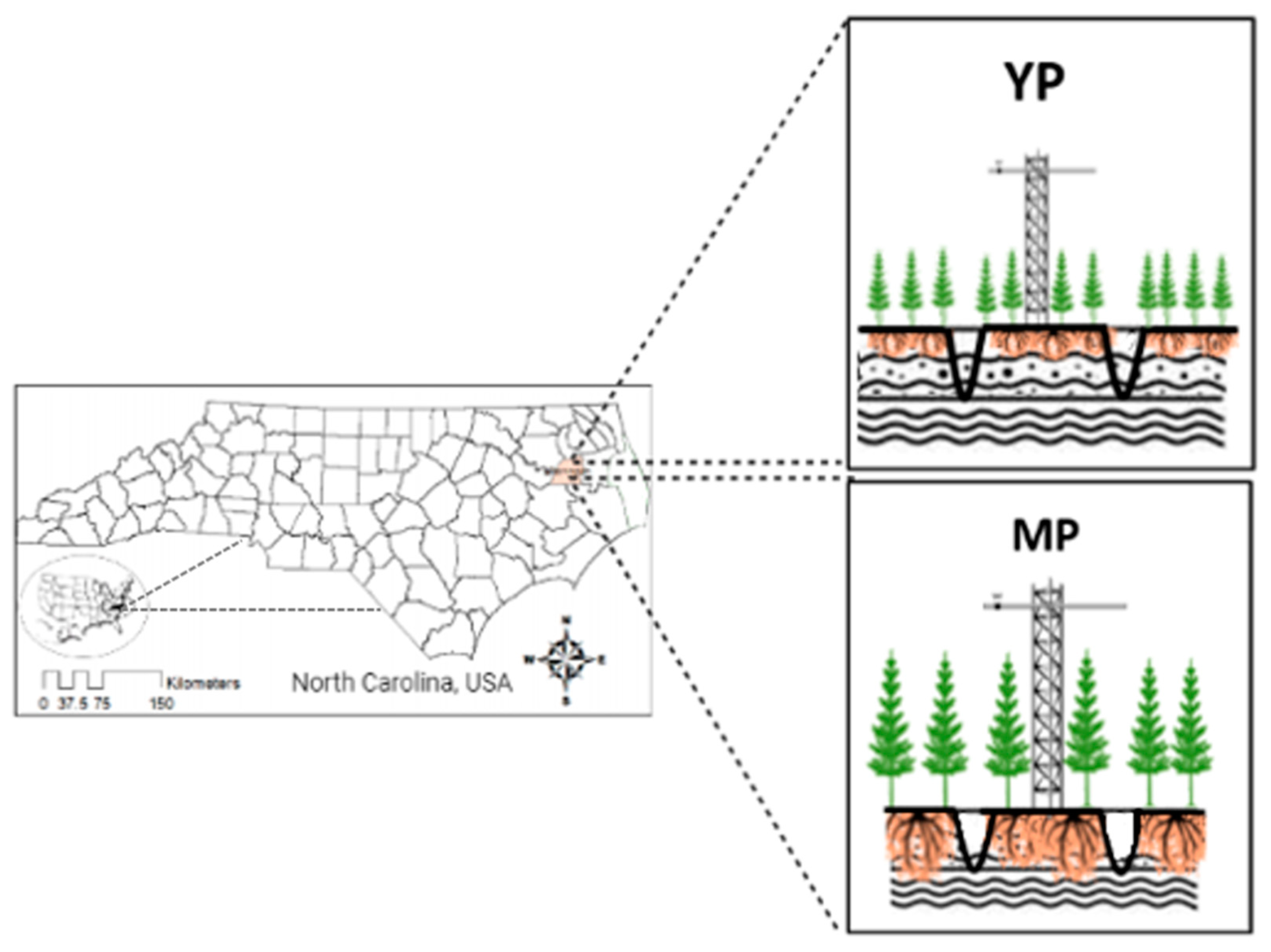 Forests 12 01123 g001 550