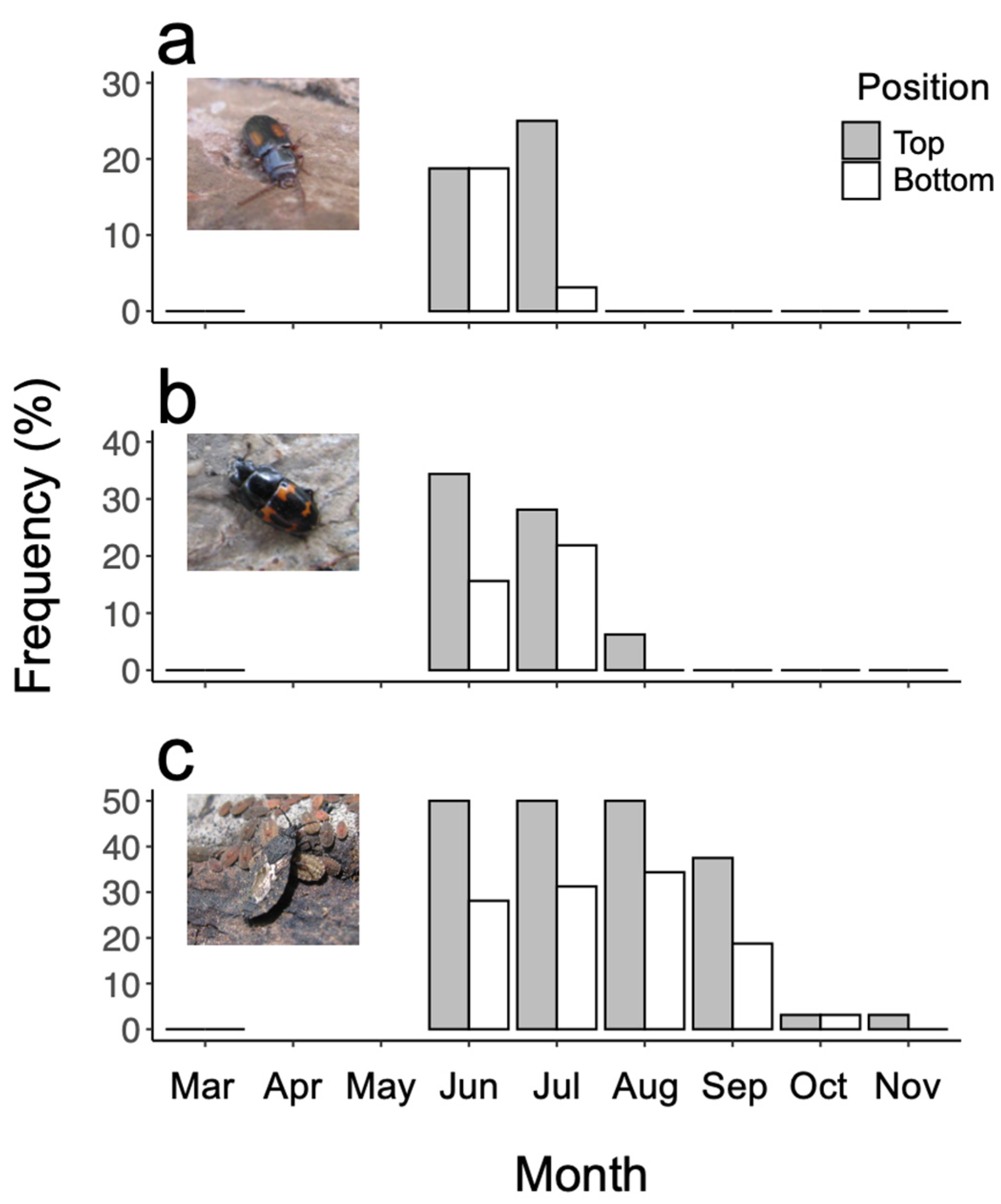Forests 12 01124 g004 Forests 12 01124 g004