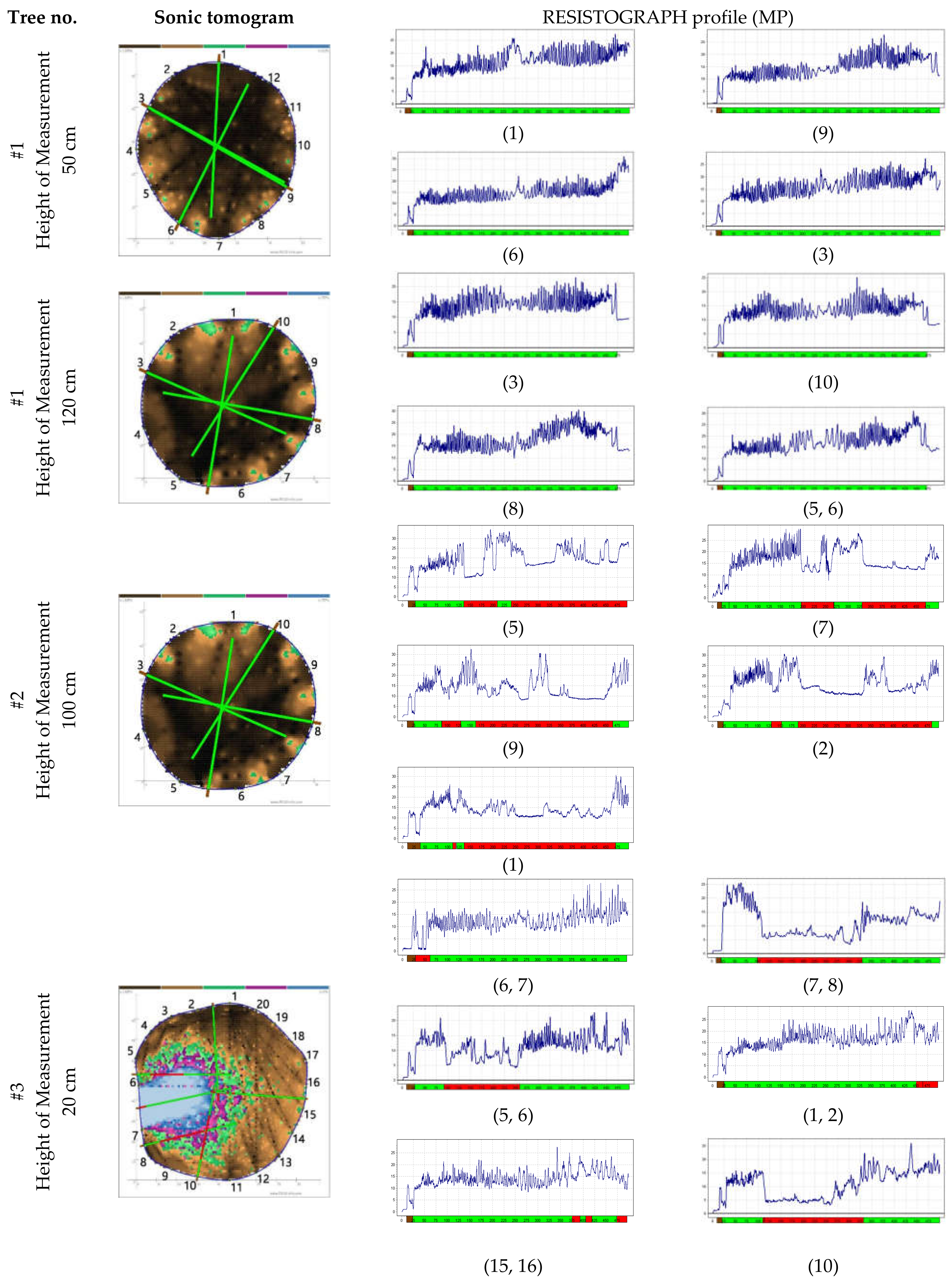 Forests 12 01131 g001a 550