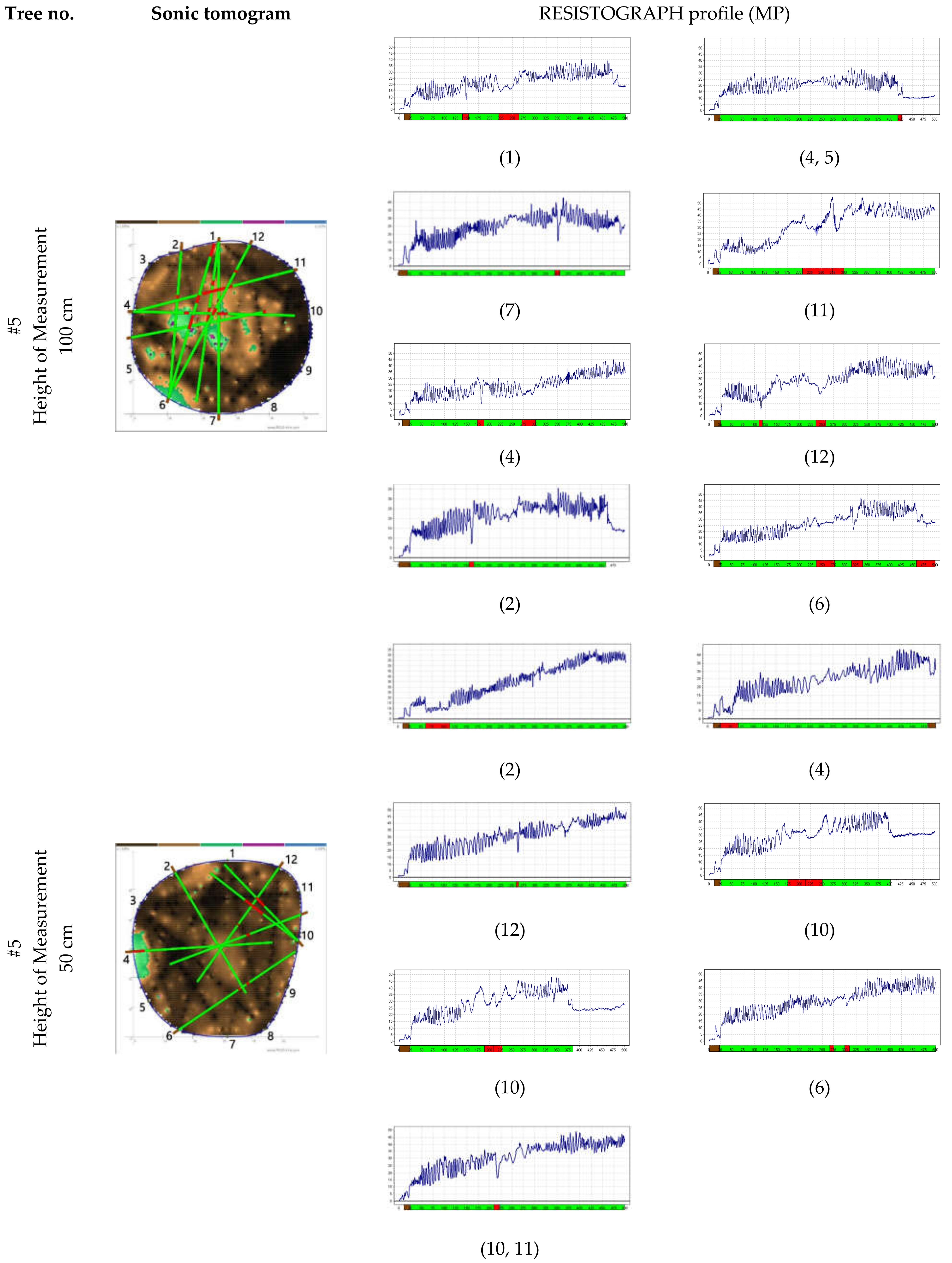 Forests 12 01131 g001c 550
