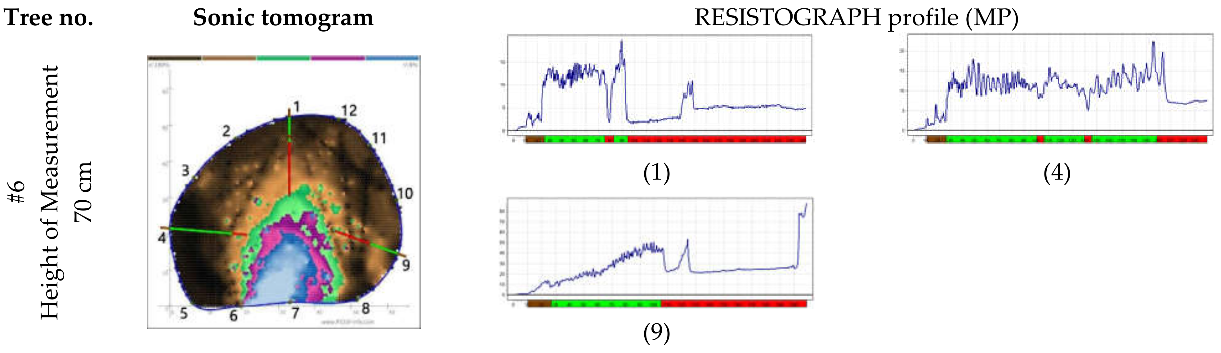 Forests 12 01131 g001d 550