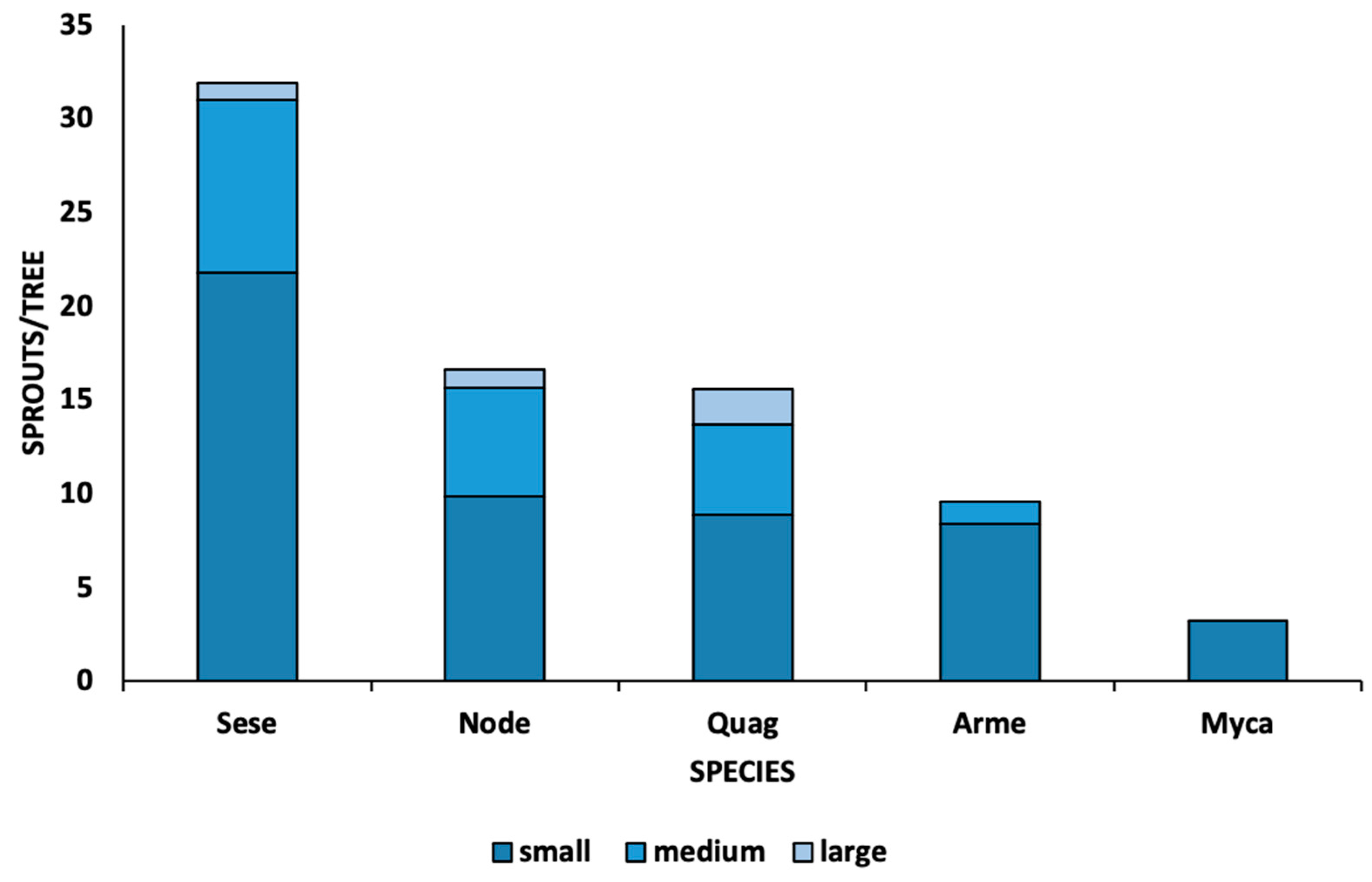 Forests 12 01135 g002 550