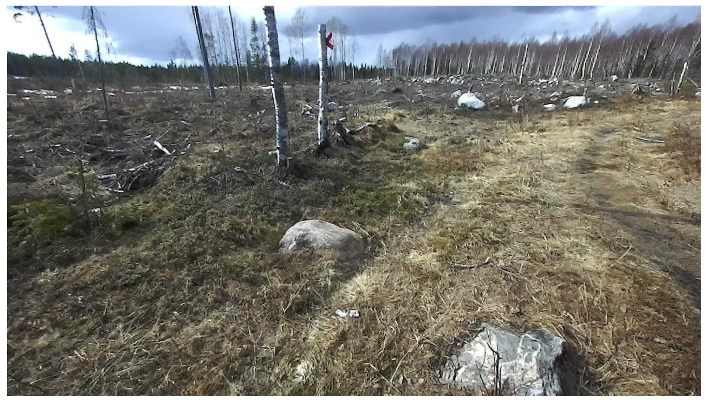 Forests 12 01142 g001 550